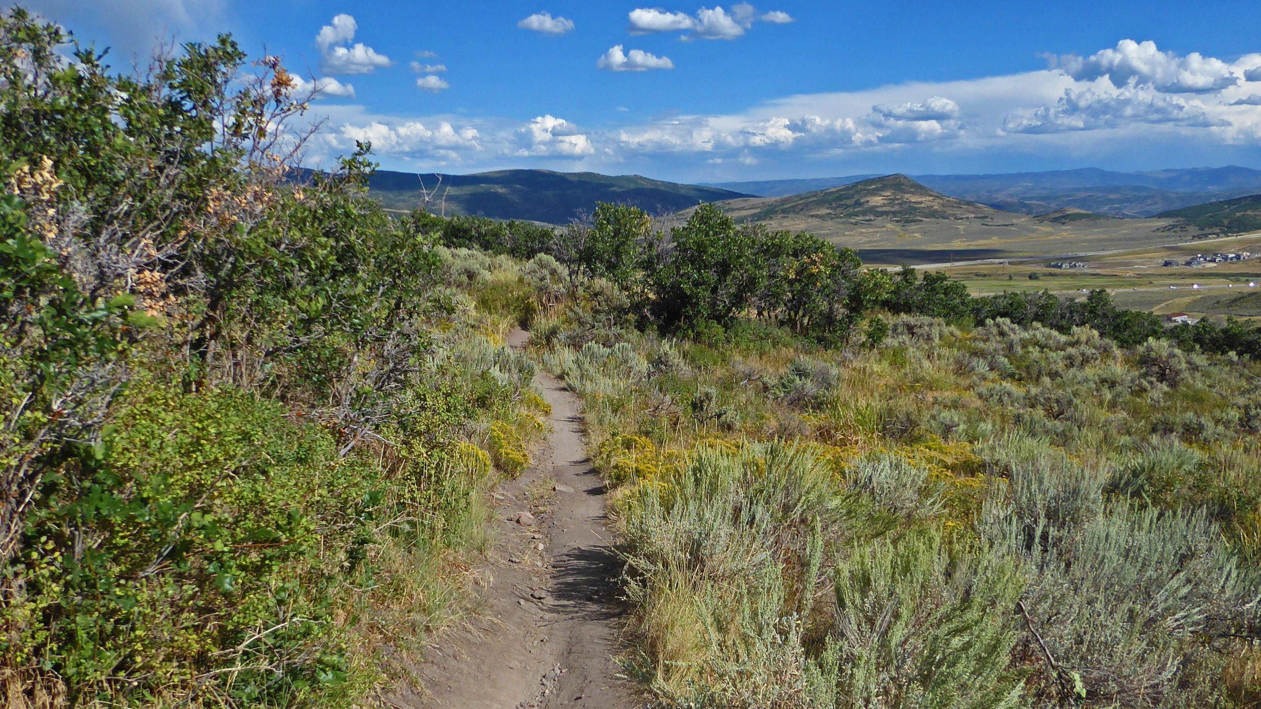 A dirt path winding through lush green bushes and shrubs in a mountainous landscape, with rolling hills and a clear blue sky dotted with white clouds in the background. Round Valley mountain bike trail.