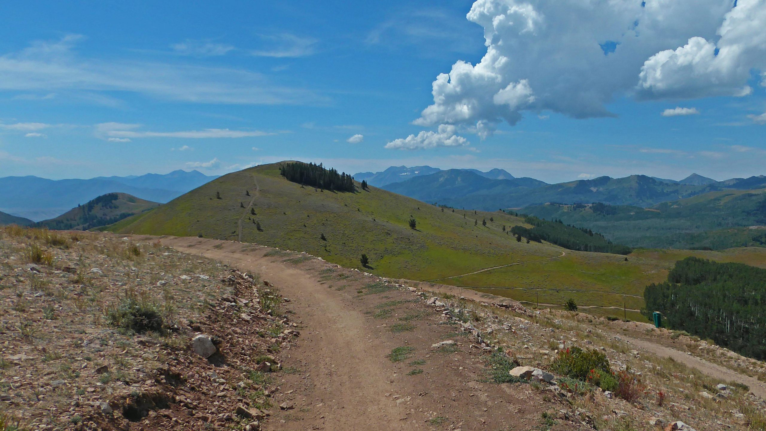 A scenic mountain landscape featuring a dirt path winding through grassy hills, with distant mountain ranges under a blue sky dotted with fluffy clouds. The foreground shows rocky terrain with patches of grass and scattered wildflowers, while trees are visible on the hillsides. Deer Valley Resort Bike Park mountain bike trail.