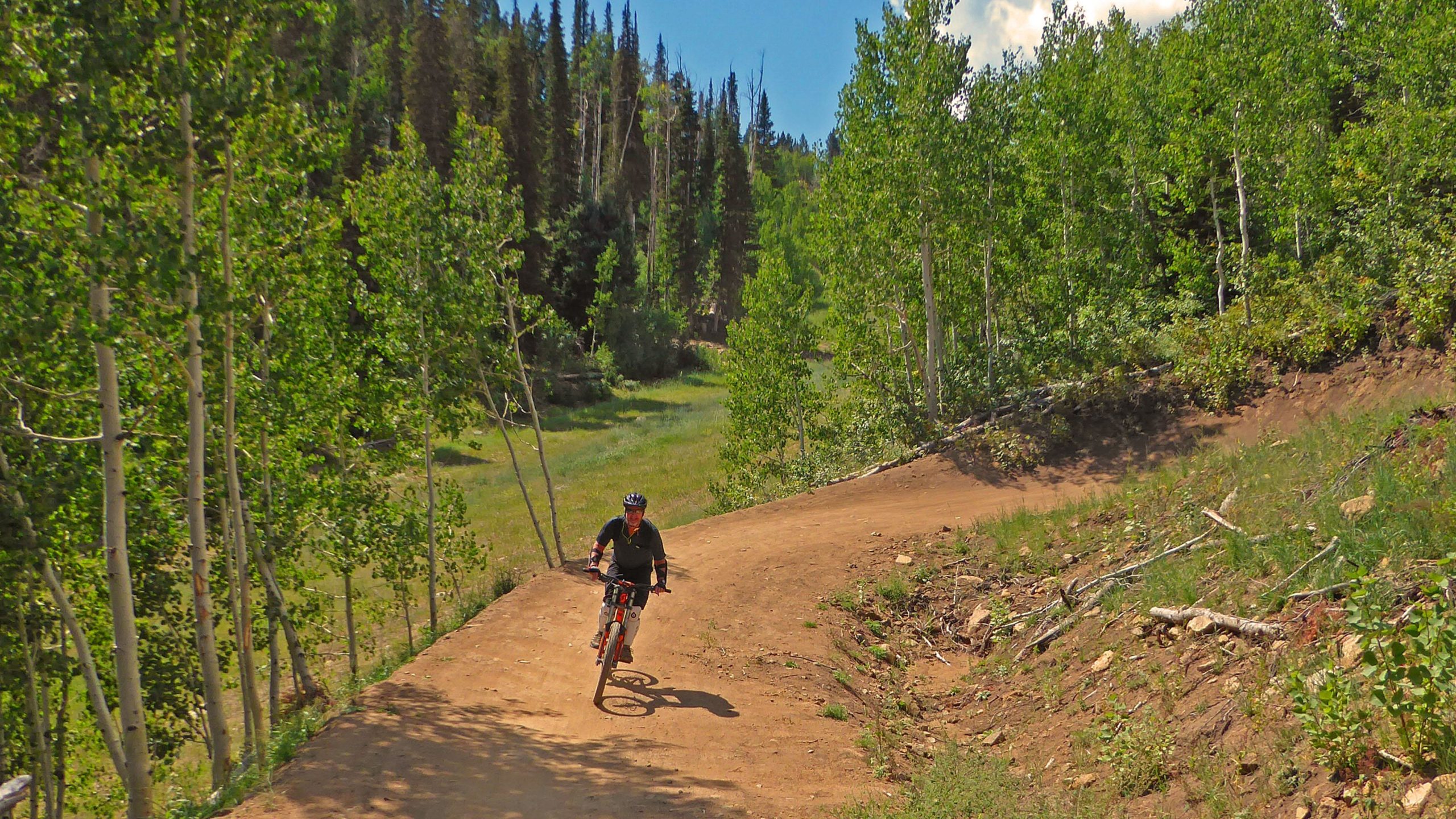 A mountain biker riding on a dirt trail surrounded by lush green trees and a clear blue sky. The path winds through a forested area, showcasing vibrant foliage and a peaceful natural setting. Deer Valley Resort Bike Park mountain bike trail.