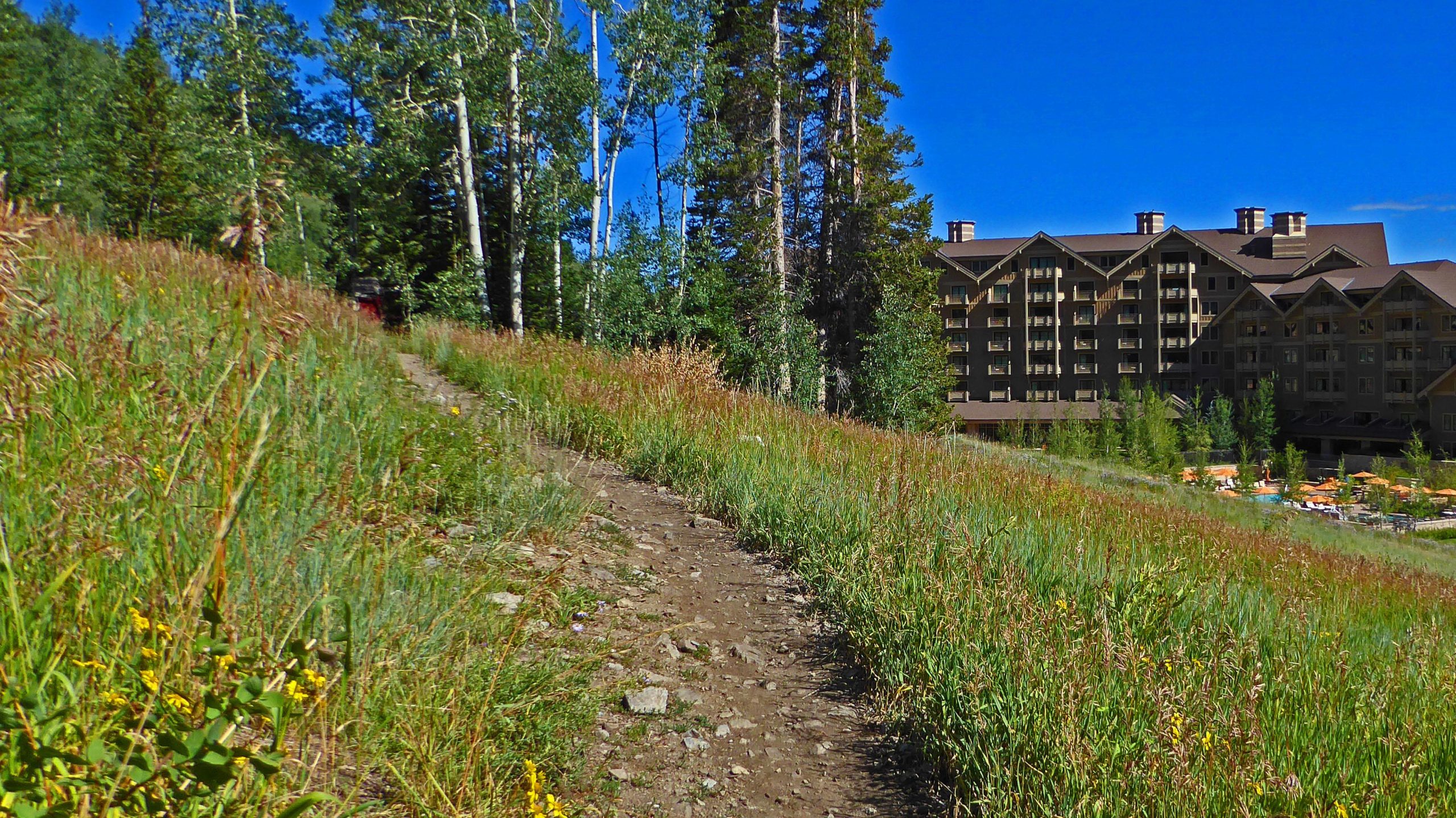 A dirt path meanders through vibrant green grasses and wildflowers, leading towards a large rustic lodge surrounded by tall trees and a clear blue sky. The lodge features a mixture of dark and light wood elements, with balconies visible on its upper floors. Mid Mountain mountain bike trail.