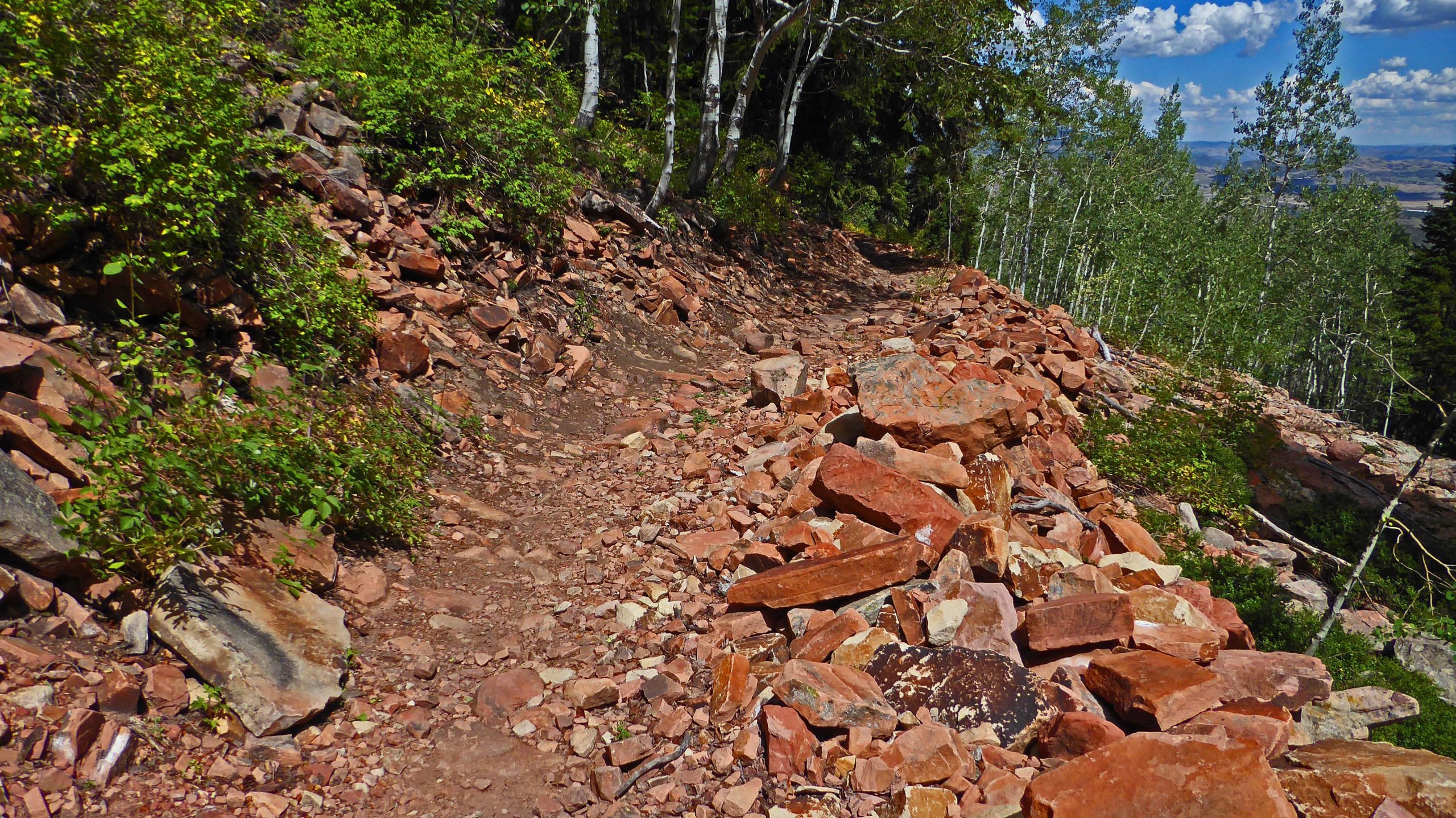 A rocky hiking trail surrounded by lush greenery and aspen trees, with scattered red stones and a clear blue sky in the background. Mid Mountain mountain bike trail.