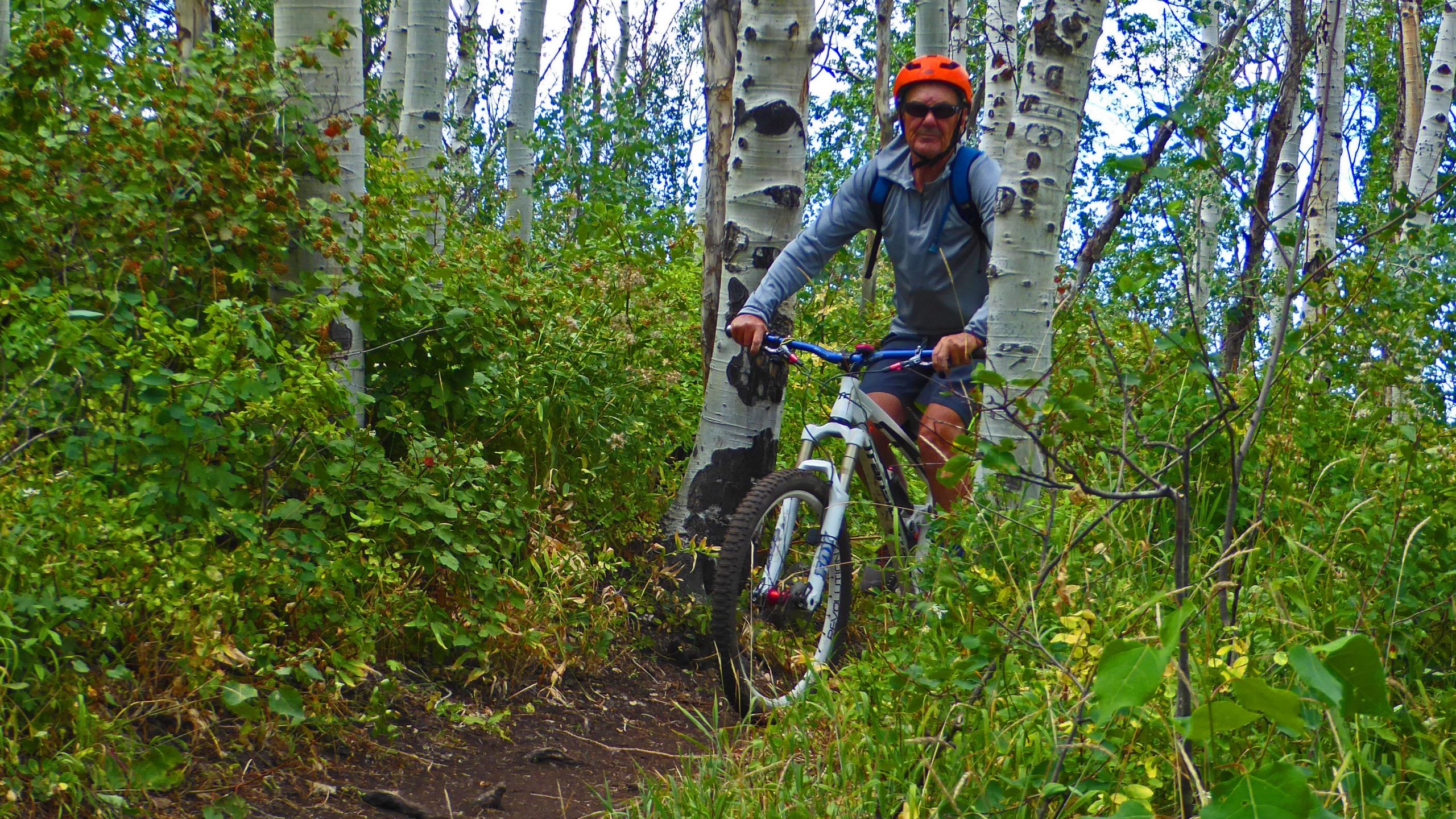 A person wearing an orange helmet and sunglasses rides a mountain bike along a narrow trail surrounded by vibrant green foliage and tall aspen trees. The scene captures the essence of outdoor biking in a lush and natural environment. John