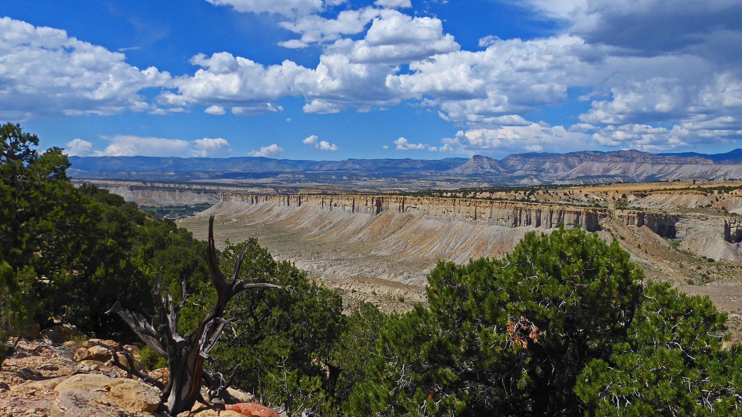 A panoramic view of a rocky landscape featuring layered cliffs and distant mountains under a blue sky with scattered clouds. In the foreground, green bushes and a twisted, dry tree branch contrast with the earth tones of the rocky terrain. The scene captures the natural beauty and ruggedness of the terrain. Alan's Alley mountain bike trail.