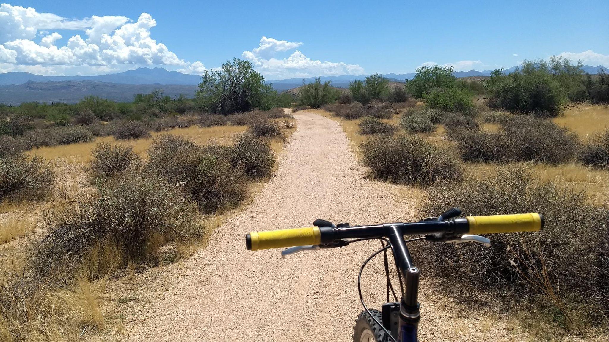 A view of a dirt biking trail from the perspective of the handlebars of a mountain bike. The path winds through a sparse, arid landscape with shrubs and brown grasses, leading towards distant mountains under a blue sky with fluffy white clouds. Pemberton Loop mountain bike trail.