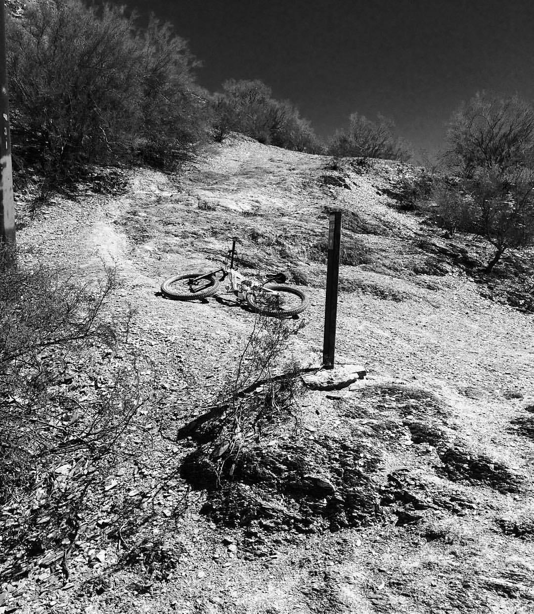 A black and white image of a mountain bike lying on the ground on a rocky trail, surrounded by sparse vegetation and a wooden post in the background. The scene suggests a rugged outdoor environment, likely in a desert or mountainous area. Trail #100 mountain bike trail.