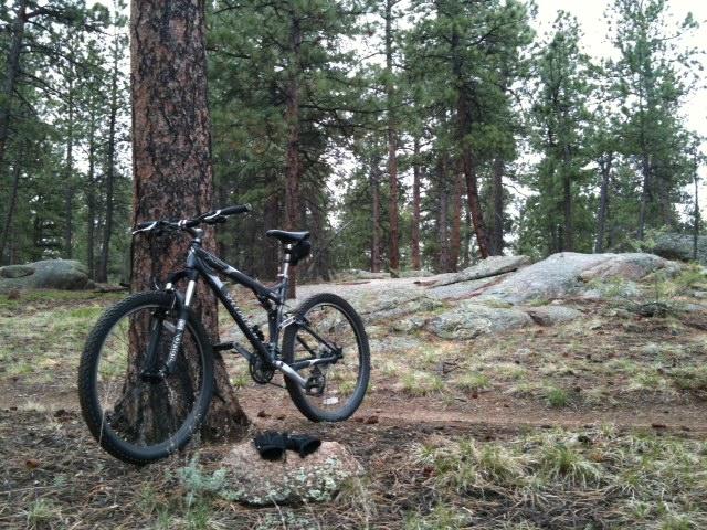 Specialized XC FSR: A mountain bike leaned against a pine tree in a forested area, surrounded by rocks and tall trees, with a dirt trail in the background. The scene is peaceful and showcases a natural outdoor setting, suitable for biking or hiking.
