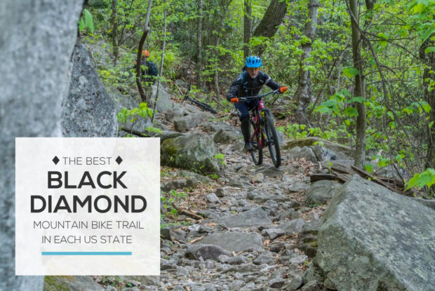 trek alpha 1.2 price