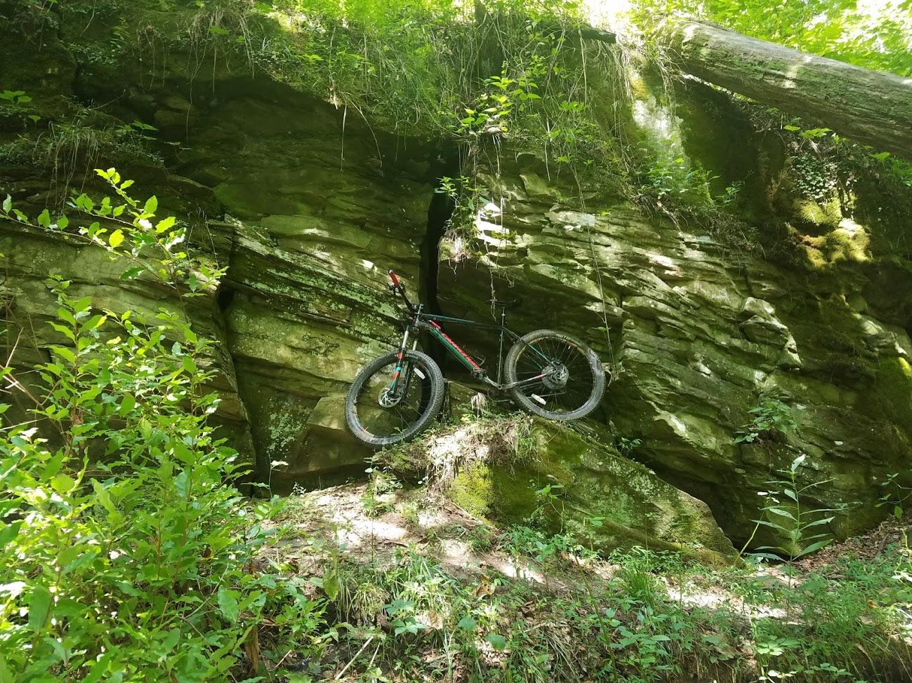 A mountain bike resting on a rocky outcrop surrounded by lush greenery and steep rock formations in a forested area. Sunlight filters through the trees, illuminating the scene. Mountwood mountain bike trail.
