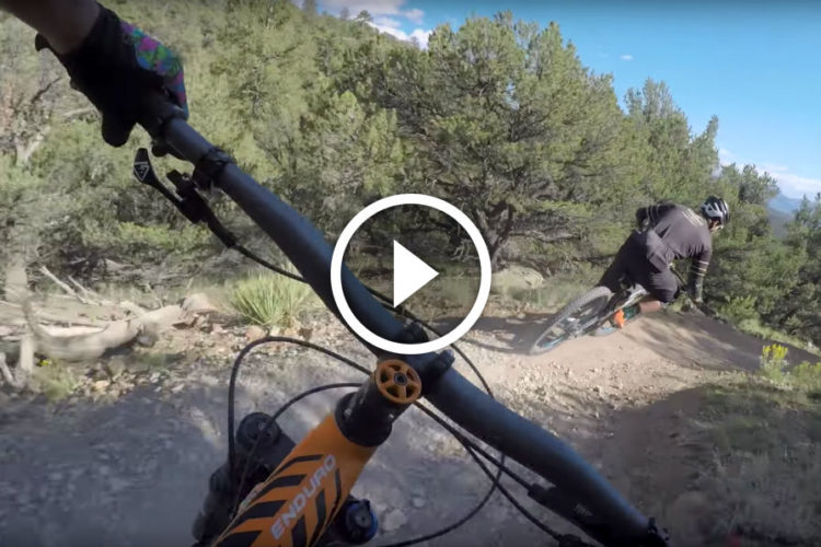 A first-person perspective of a mountain biking trail, showing the handlebars of a bike and a rider navigating a dirt path through a forested area. The scene features trees and rocky terrain under a clear blue sky, capturing the thrill of outdoor cycling.