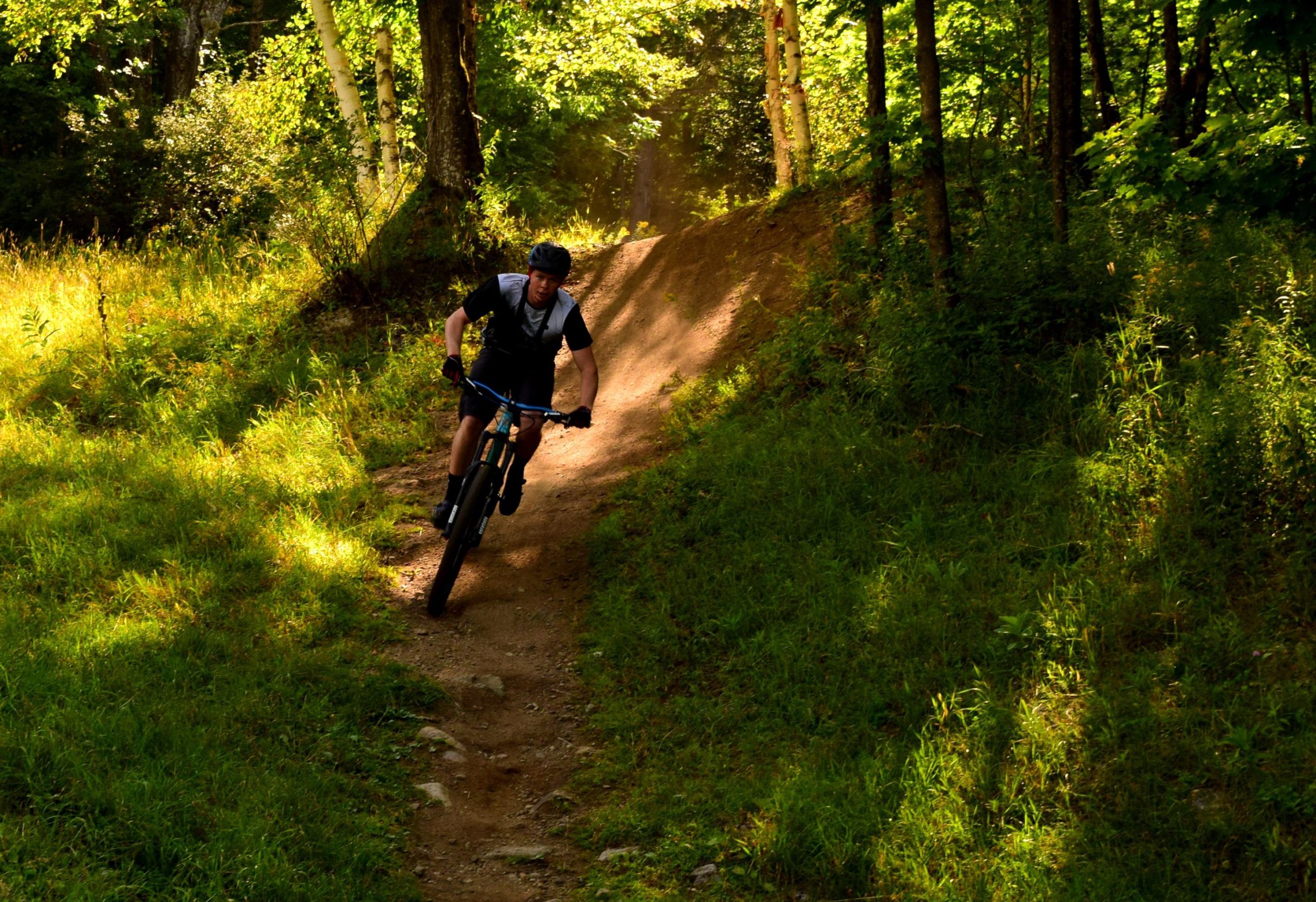 A mountain biker navigates a dirt trail in a sunlit forest, surrounded by green grass and trees. The rider is leaning into a turn, showcasing dynamic motion and the thrill of outdoor cycling. Mount Pisgah Ski Area mountain bike trail.