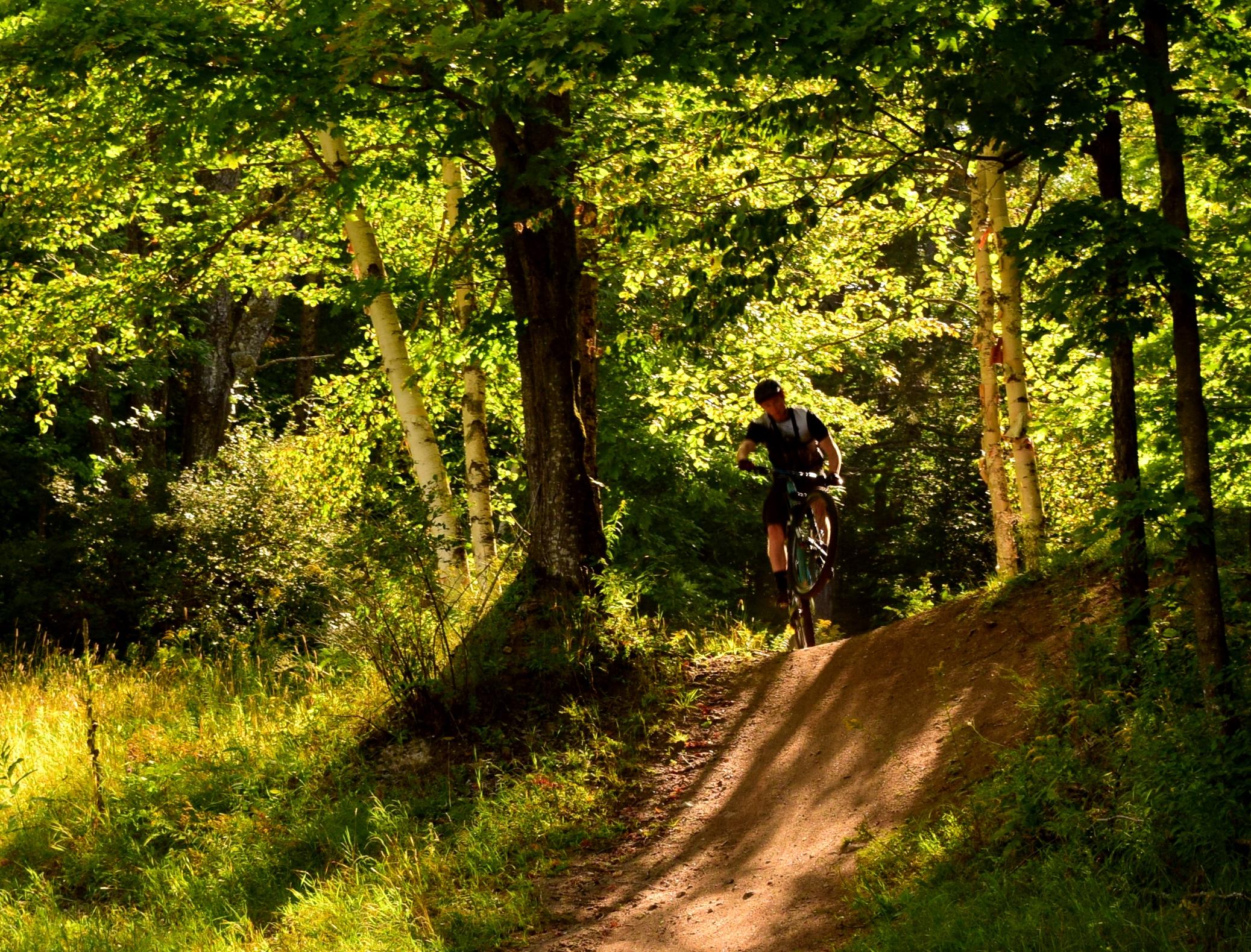 A mountain biker performing a jump on a dirt trail surrounded by lush greenery and trees, with sunlight filtering through the leaves. Mount Pisgah Ski Area mountain bike trail.
