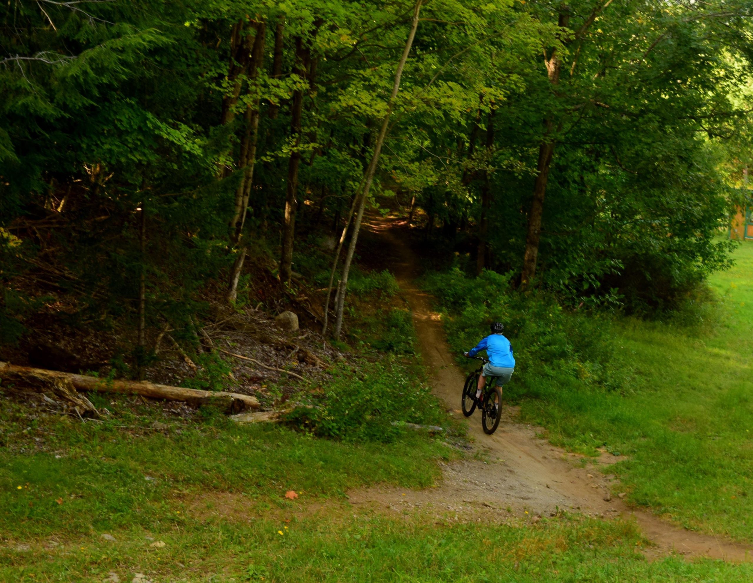 A person wearing a blue jacket and helmet rides a mountain bike along a dirt path surrounded by trees and greenery. The scene captures the essence of an outdoor biking adventure through a wooded area. Mount Pisgah Ski Area mountain bike trail.