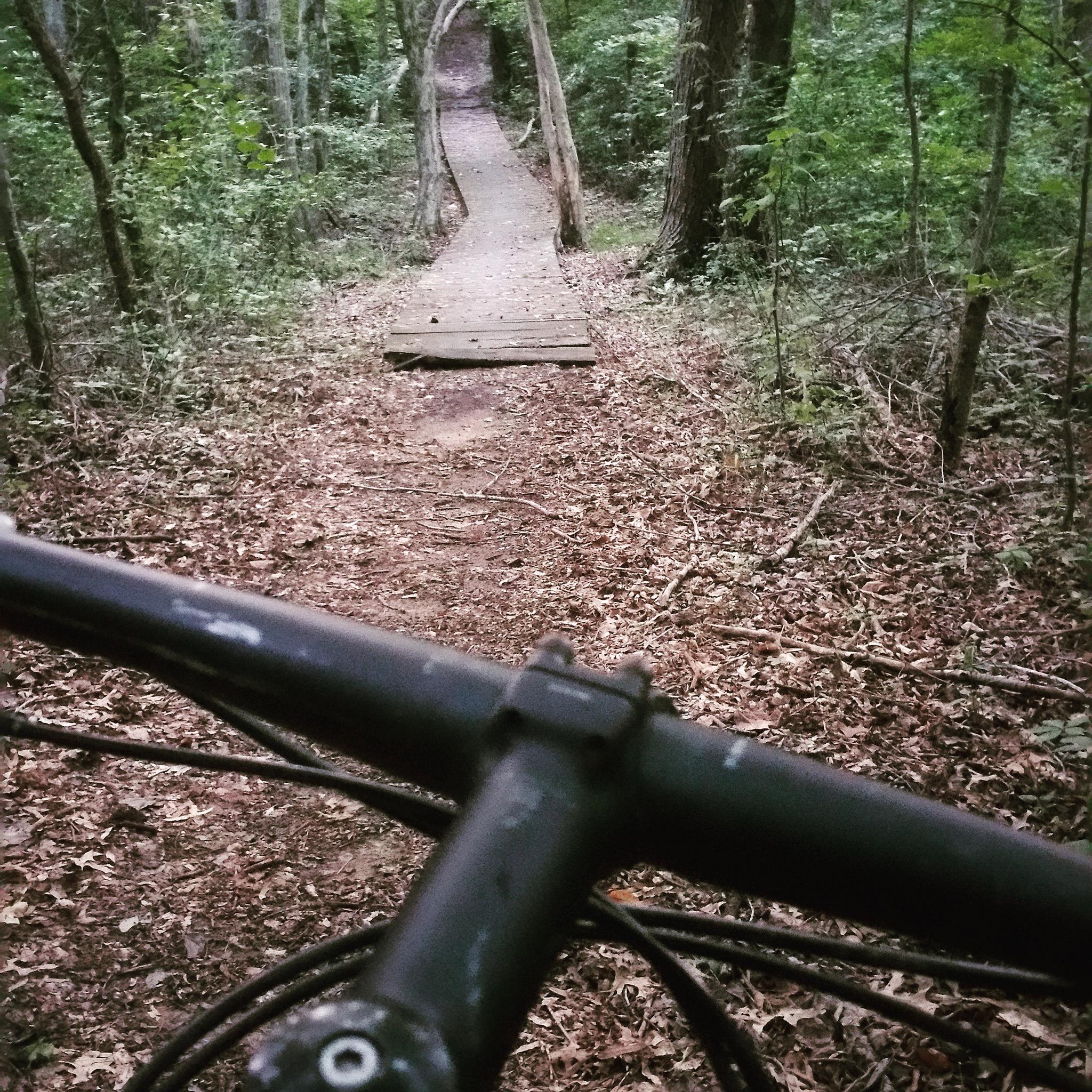 A view of a dirt bike trail from the perspective of a mountain bike handlebars, with a wooden bridge in the distance surrounded by lush greenery and fallen leaves on the ground. Salem Fields Community Trail mountain bike trail.