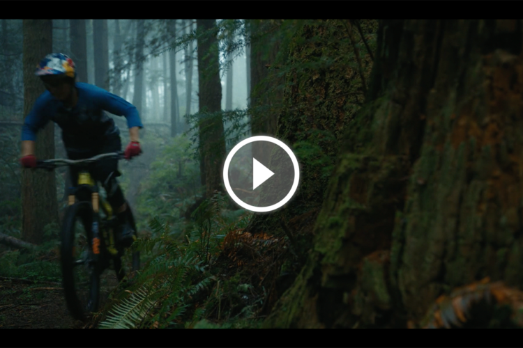 A mountain biker riding through a misty forest trail, surrounded by tall trees and lush green foliage. The scene captures the sense of adventure and adrenaline as the rider navigates the terrain.