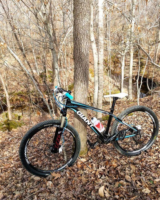 Giant XTC 27.5 2: A mountain bike parked beside a tree in a wooded area during autumn. The ground is covered with fallen leaves, and the surrounding trees are bare, showcasing the seasonal变化. The bike has large tires, a sleek frame with blue and black accents, and a water bottle attached.