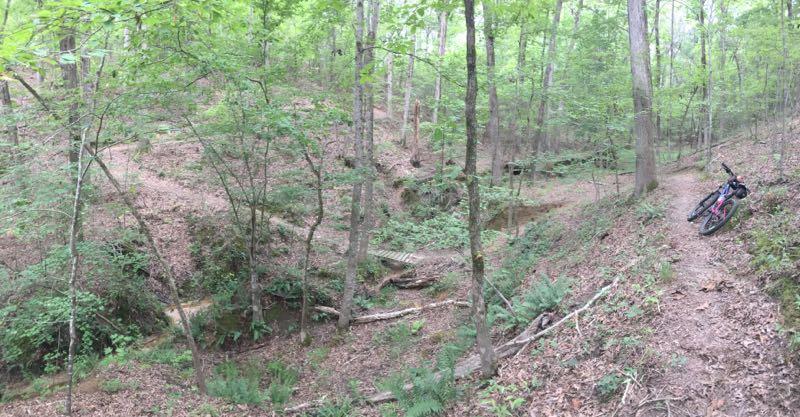 A peaceful forest scene featuring a winding dirt trail alongside a creek. The area is lush with green foliage, trees, and underbrush, while a bicycle leans against a tree on the right side of the image. The terrain is slightly hilly, with fallen leaves covering the ground. Clear Creek mountain bike trail.