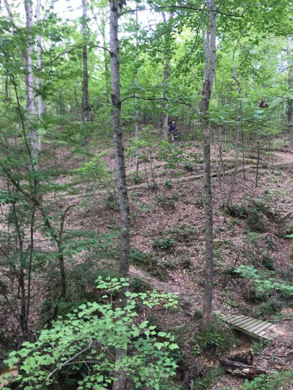 A lush green forest scene featuring tall trees and a wooded landscape. In the background, a narrow path winds through the underbrush, and a person can be seen walking in the distance. A small wooden bridge crosses a shallow area, adding to the natural setting. The ground is covered with fallen leaves and small plants, creating a serene and tranquil atmosphere. Clear Creek mountain bike trail.