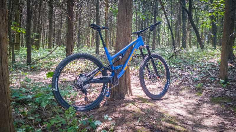 A blue mountain bike leaning against a tree in a verdant forest setting, surrounded by tall trees and scattered foliage. Sunlight filters through the branches, illuminating the bike and the forest floor. Binder Lake mountain bike trail.