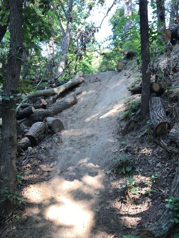A dirt slope in a forested area, flanked by trees and logs. Sunlight filters through the leaves, casting shadows on the ground. Lewis And Clark Monument mountain bike trail.