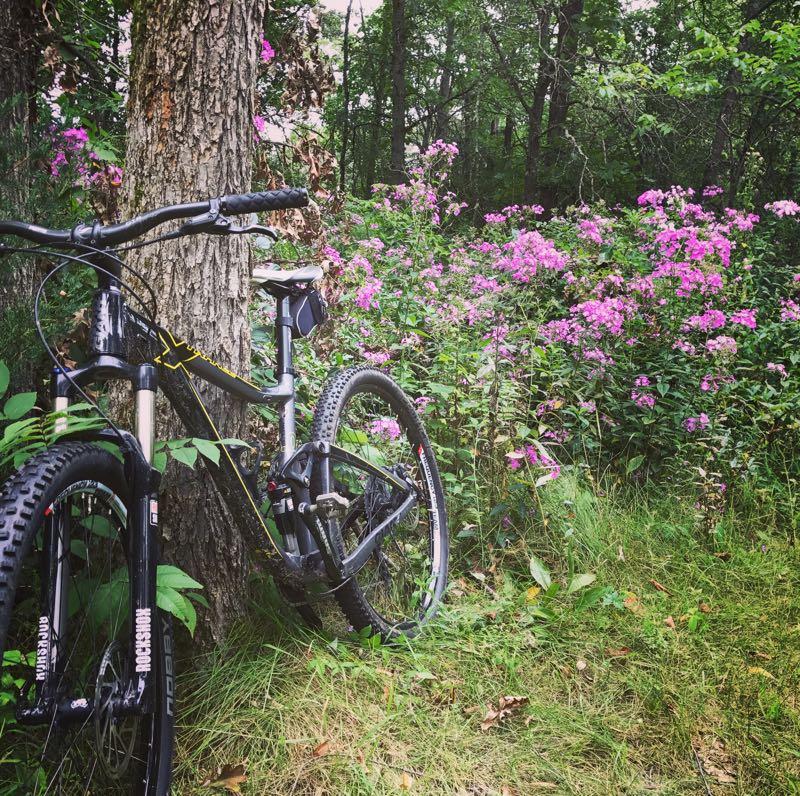 A mountain bike leaning against a tree in a lush green area, surrounded by vibrant pink flowers and greenery. Mirror Lake State Park mountain bike trail.