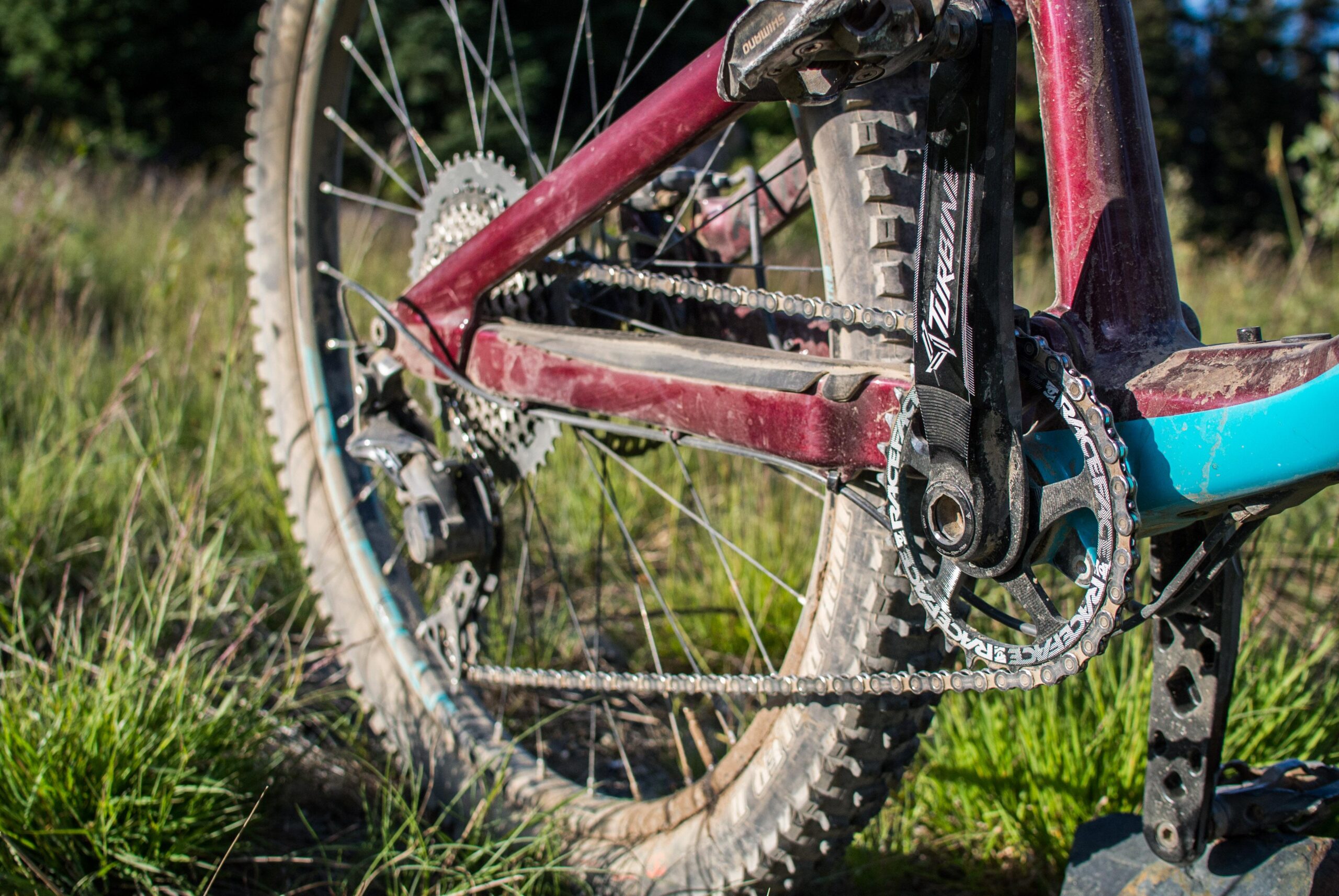 Rocky Mountain Altitude: Close-up view of a mountain bike's rear frame, chain, and drivetrain components, set against a backdrop of tall grass and foliage, showcasing a mix of maroon and teal colors on the bike. The bike appears to be used, with some dirt visible on the tires and frame.