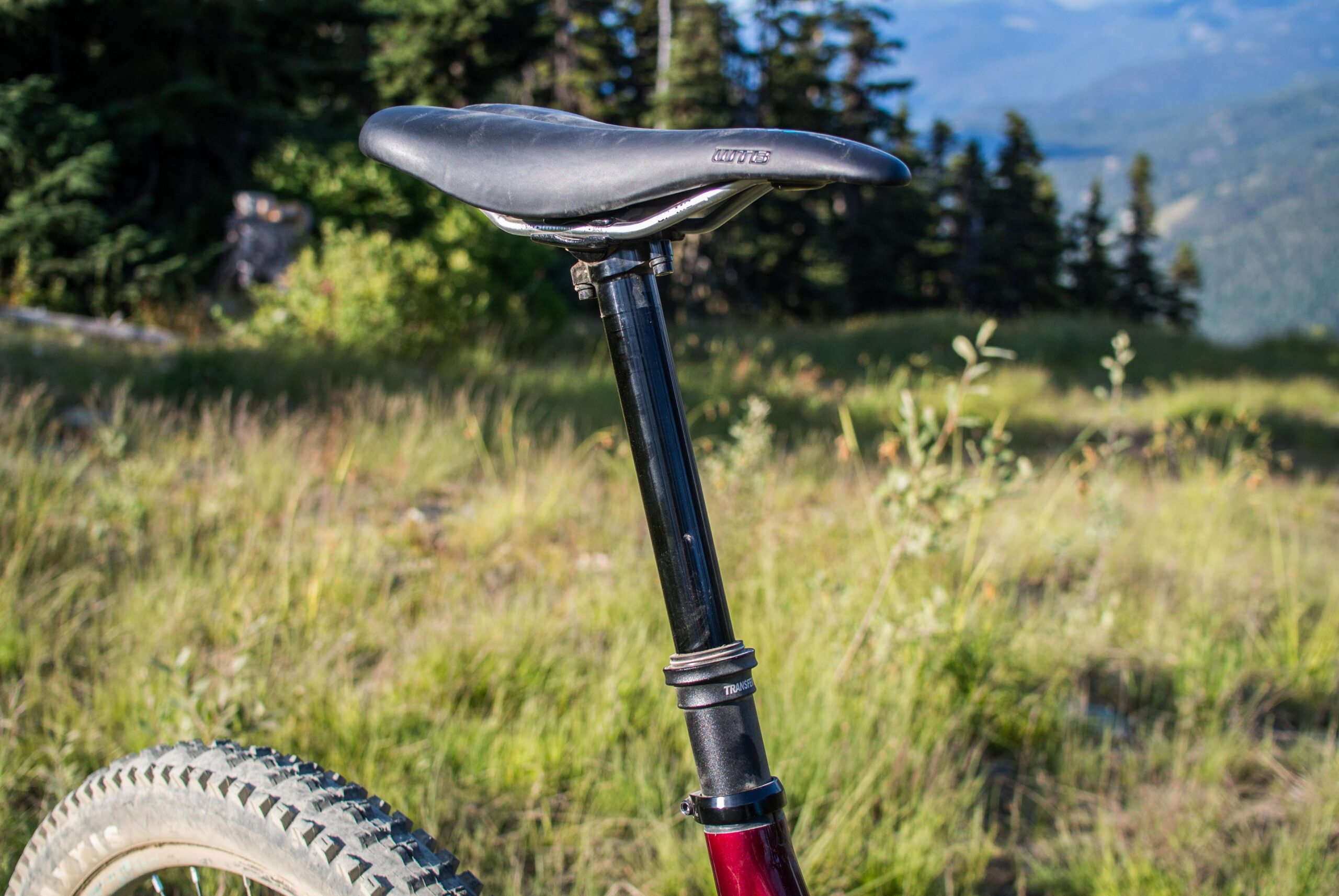 Rocky Mountain Altitude: Close-up of a mountain bike saddle and seat post against a backdrop of greenery and trees, showcasing the bike's design and features.