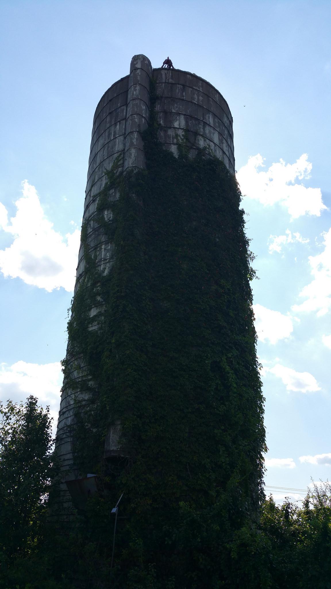 A tall, cylindrical silo covered in green ivy, against a blue sky with white clouds. A person is visible at the top of the silo, appearing to be working or observing the surroundings. The base of the silo is surrounded by lush vegetation. Laurel Hill Park mountain bike trail.
