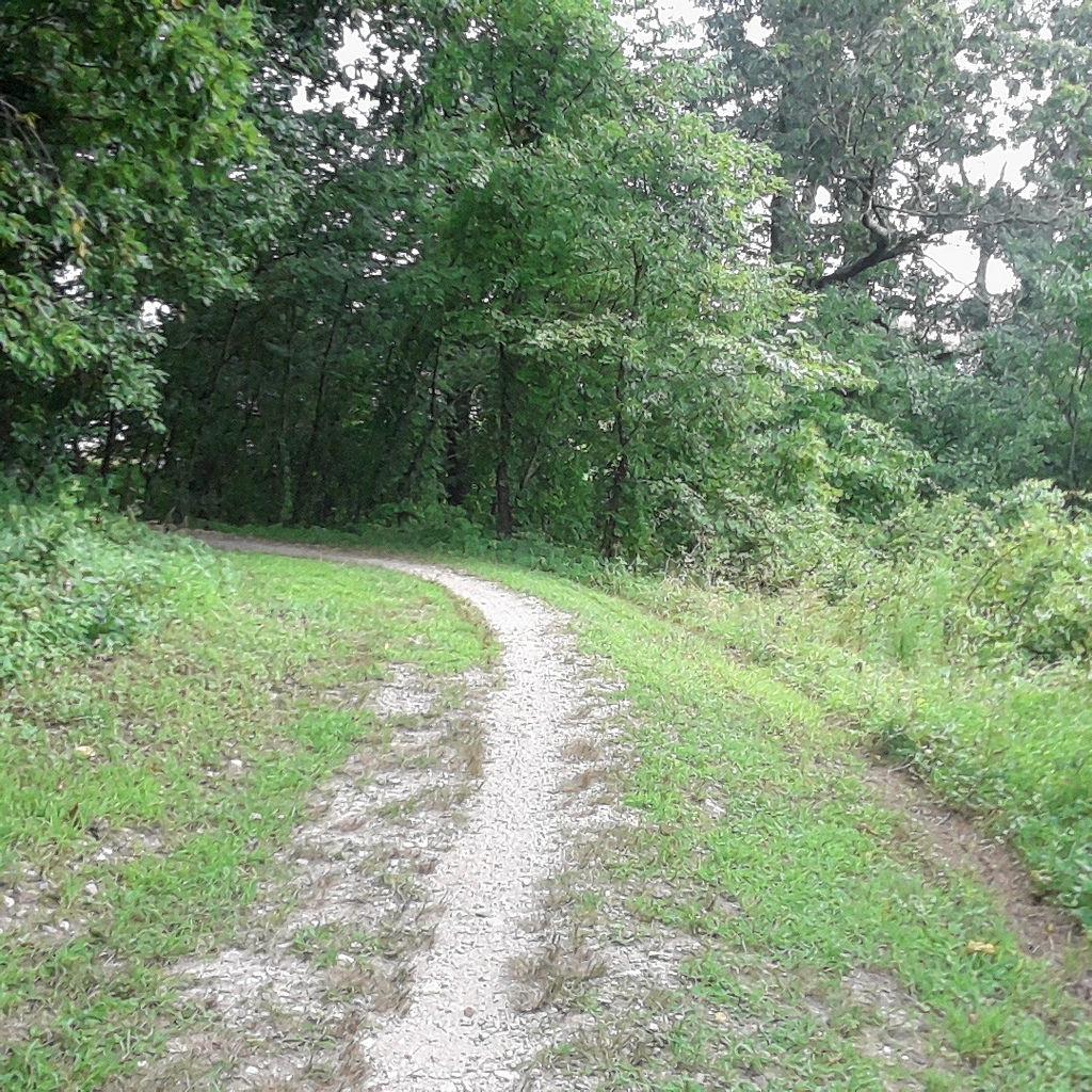 A winding gravel path bordered by lush green grass and dense trees, leading into a wooded area. Laurel Hill Park mountain bike trail.