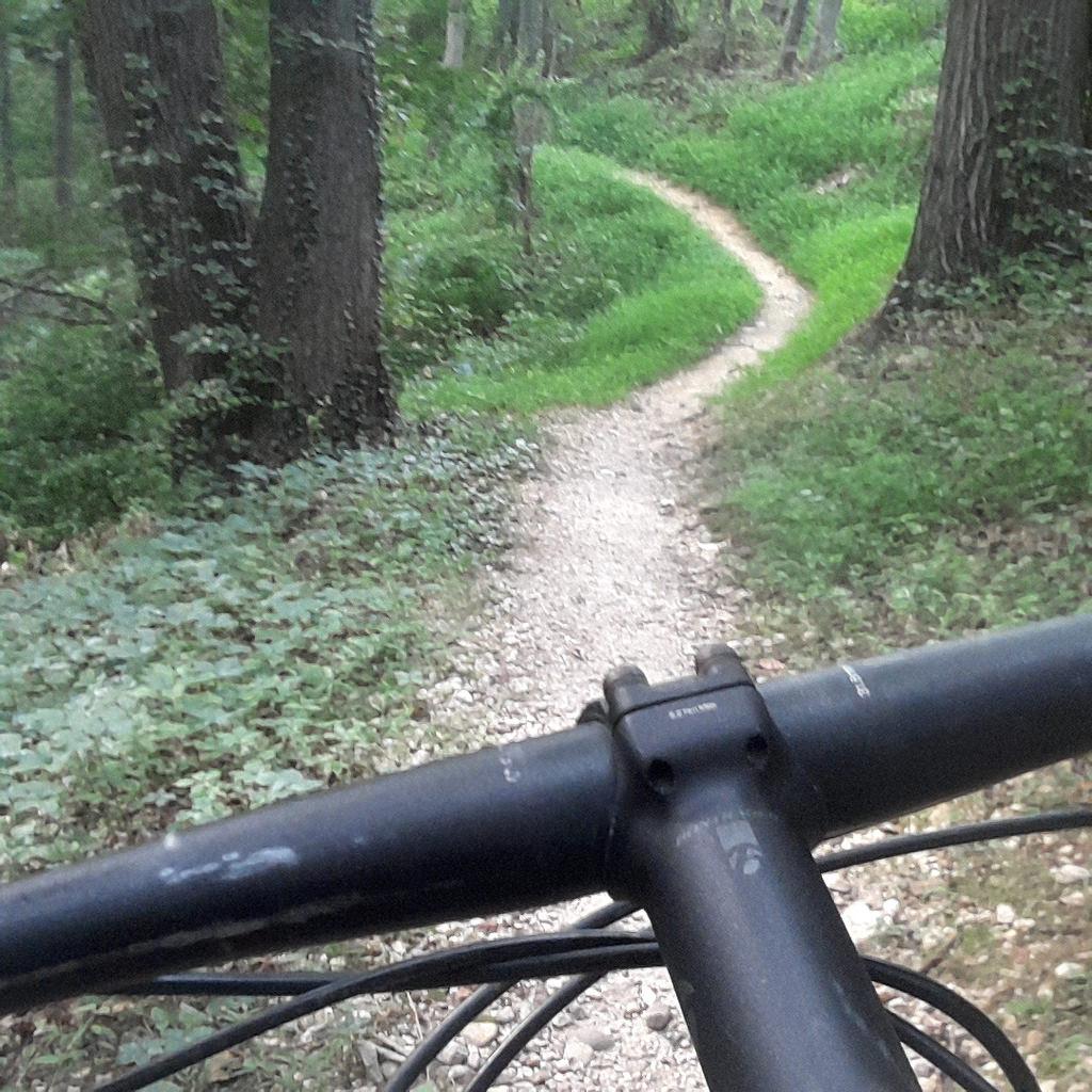 "View from the handlebars of a bicycle on a winding dirt trail surrounded by lush greenery and trees." Laurel Hill Park mountain bike trail.