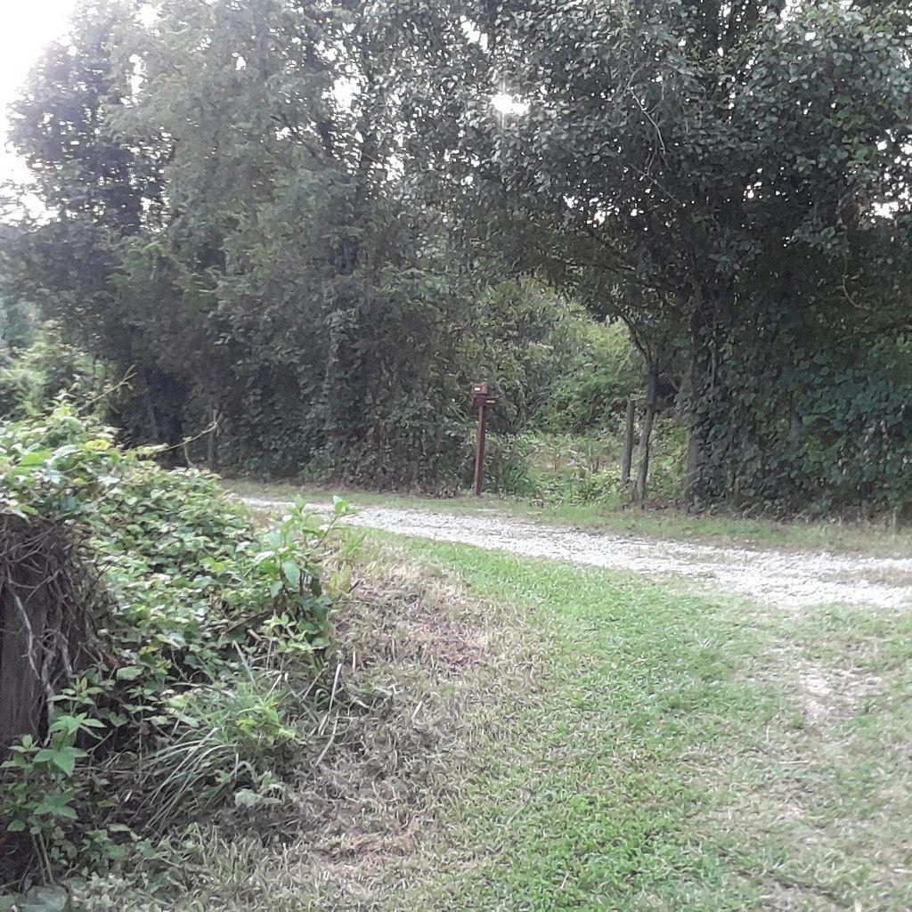 A gravel pathway winding through lush greenery, flanked by dense trees and overgrown plants. A mailbox stands near the entrance, partially obscured by the foliage, hinting at a peaceful, rural setting. Laurel Hill Park mountain bike trail.