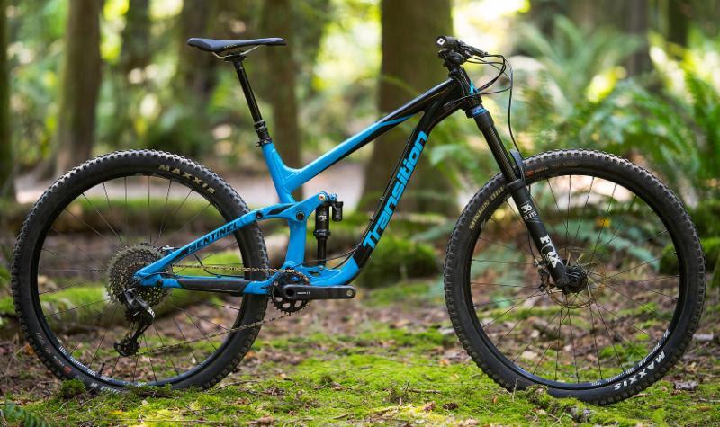 Transition Sentinel: A blue and black mountain bike prominently displayed on a grassy forest floor, surrounded by trees and ferns. The bike features a sleek frame, knobby tires, and a modern design, highlighting its suitability for off-road cycling adventures.