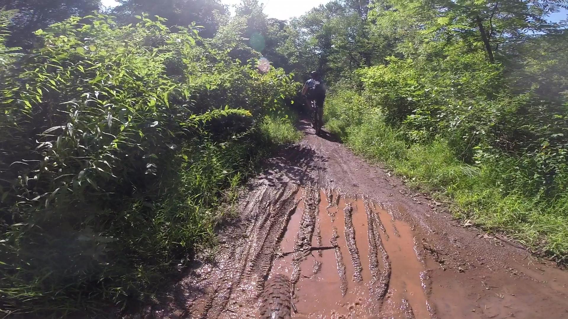 A muddy trail surrounded by lush greenery, with a cyclist riding along the path under bright sunlight. The ground shows visible tire tracks and puddles, indicating wet conditions. Six Mile Run mountain bike trail.