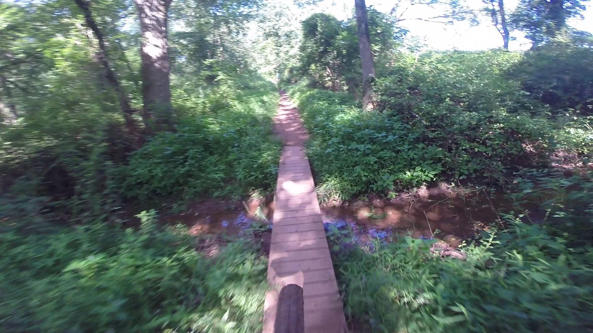 A narrow wooden bridge over a shallow stream, surrounded by lush green foliage and trees along a hiking trail. The sunlight filters through the leaves, creating a serene and peaceful atmosphere. Six Mile Run mountain bike trail.