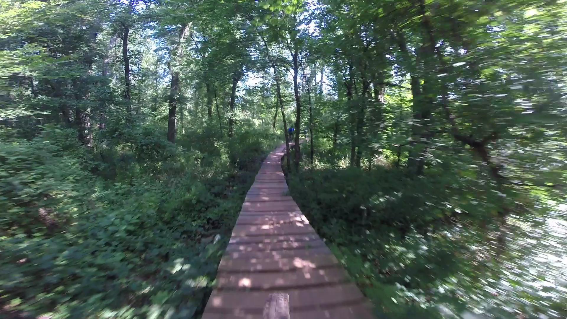 A winding wooden pathway surrounded by lush green trees and foliage, leading deeper into a vibrant forest. Sunlight filters through the canopy, creating dappled patterns on the ground. Six Mile Run mountain bike trail.