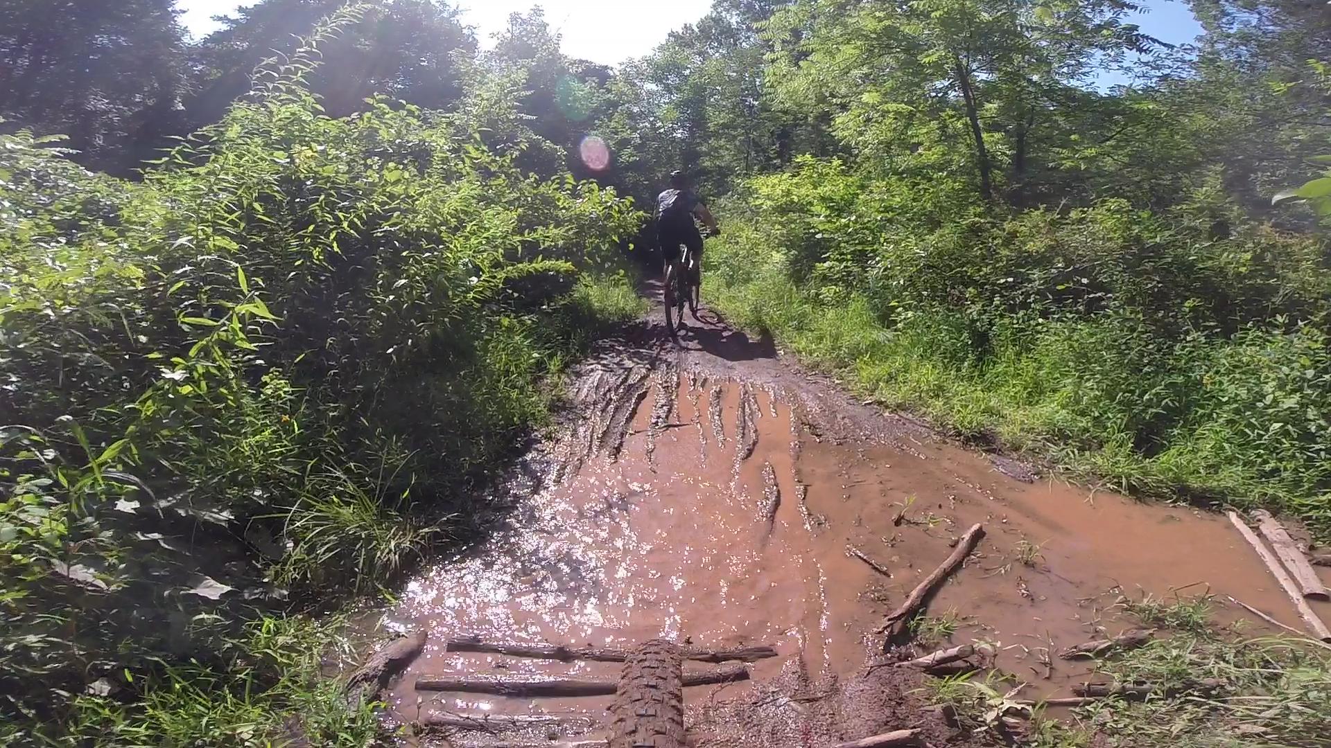 A mountain biker navigating a muddy trail surrounded by dense green foliage, with sunlight filtering through the trees. The trail features puddles and muddy sections, and the biker is approaching a small wooden bridge over a muddy area. Six Mile Run mountain bike trail.