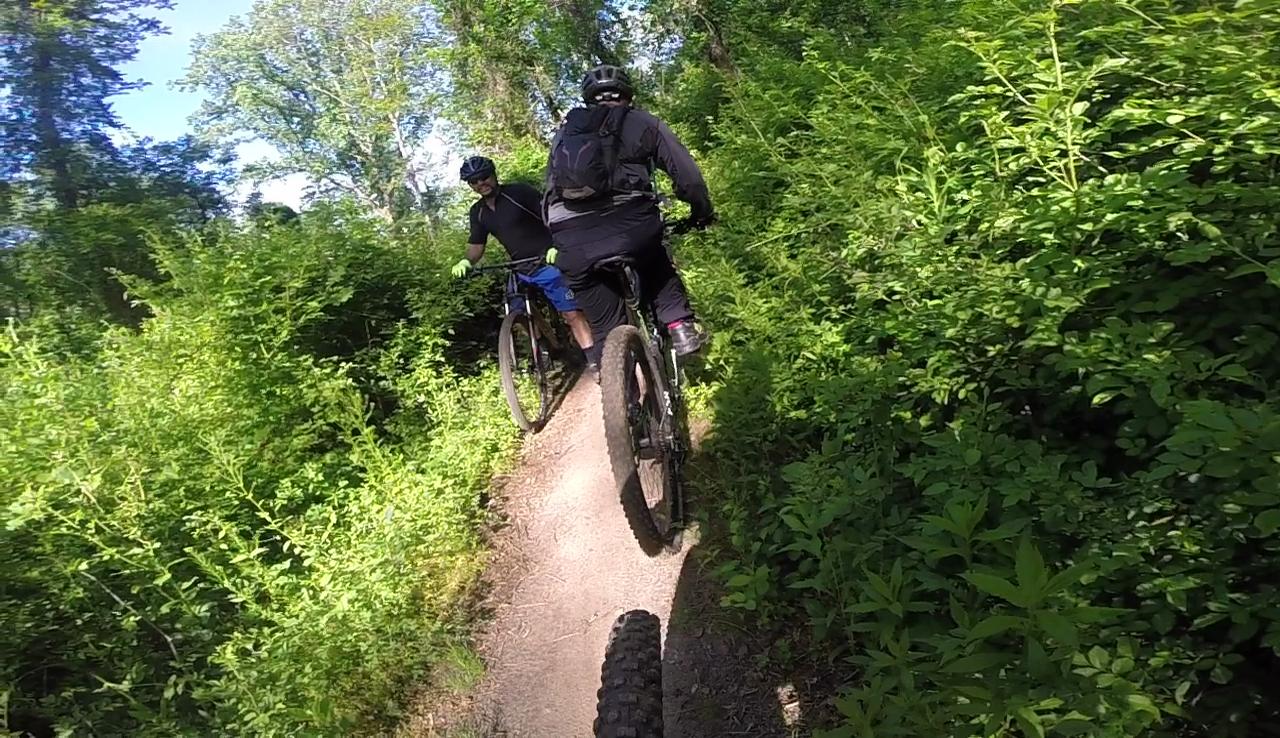 Two mountain bikers navigate a narrow dirt path surrounded by lush green foliage in a forested area on a sunny day. The trail is winding through dense vegetation, showcasing the beauty of nature. Six Mile Run mountain bike trail.