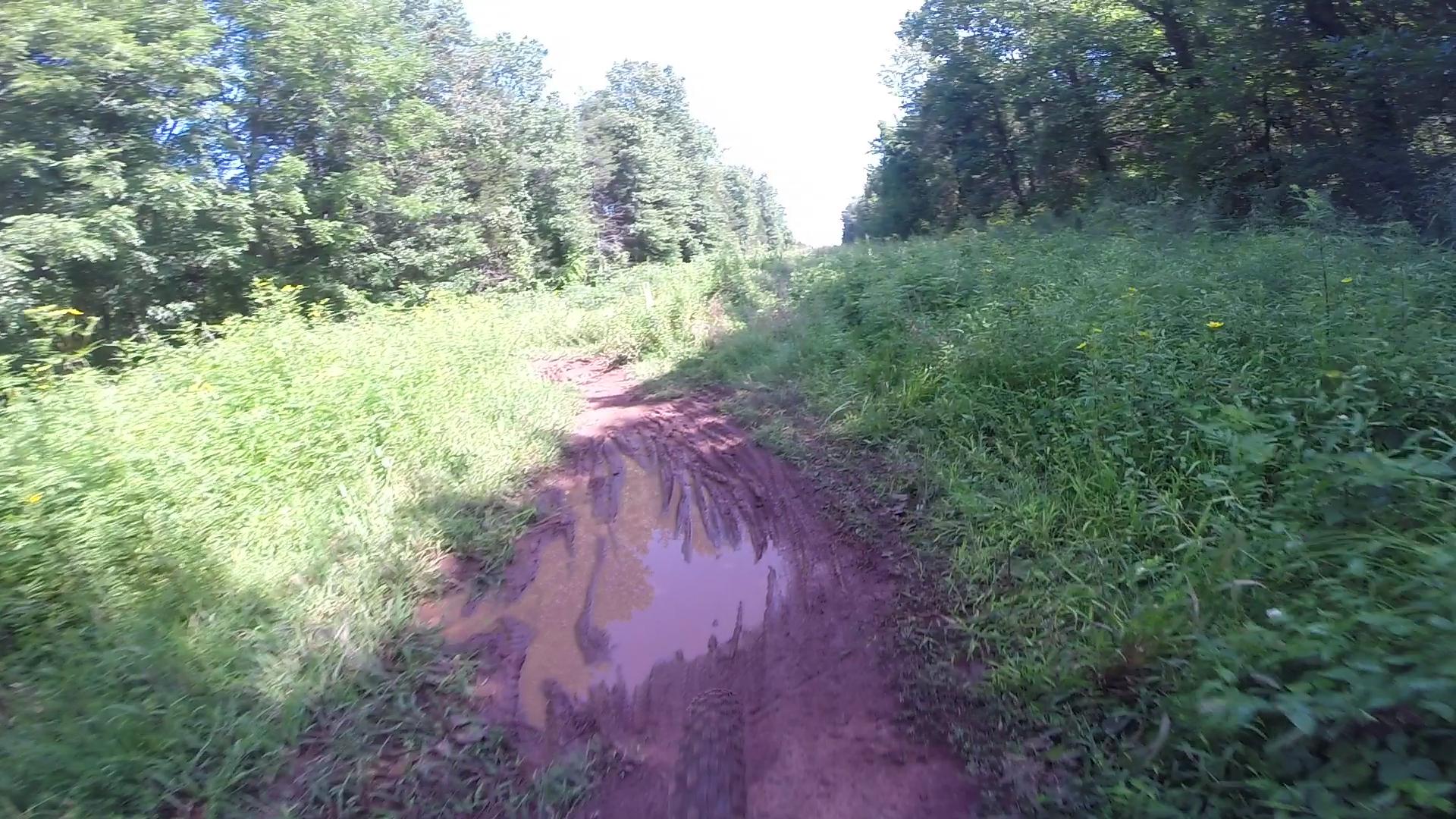 A narrow, muddy trail surrounded by lush green grass and trees under a bright blue sky, featuring a puddle reflecting the greenery. Six Mile Run mountain bike trail.
