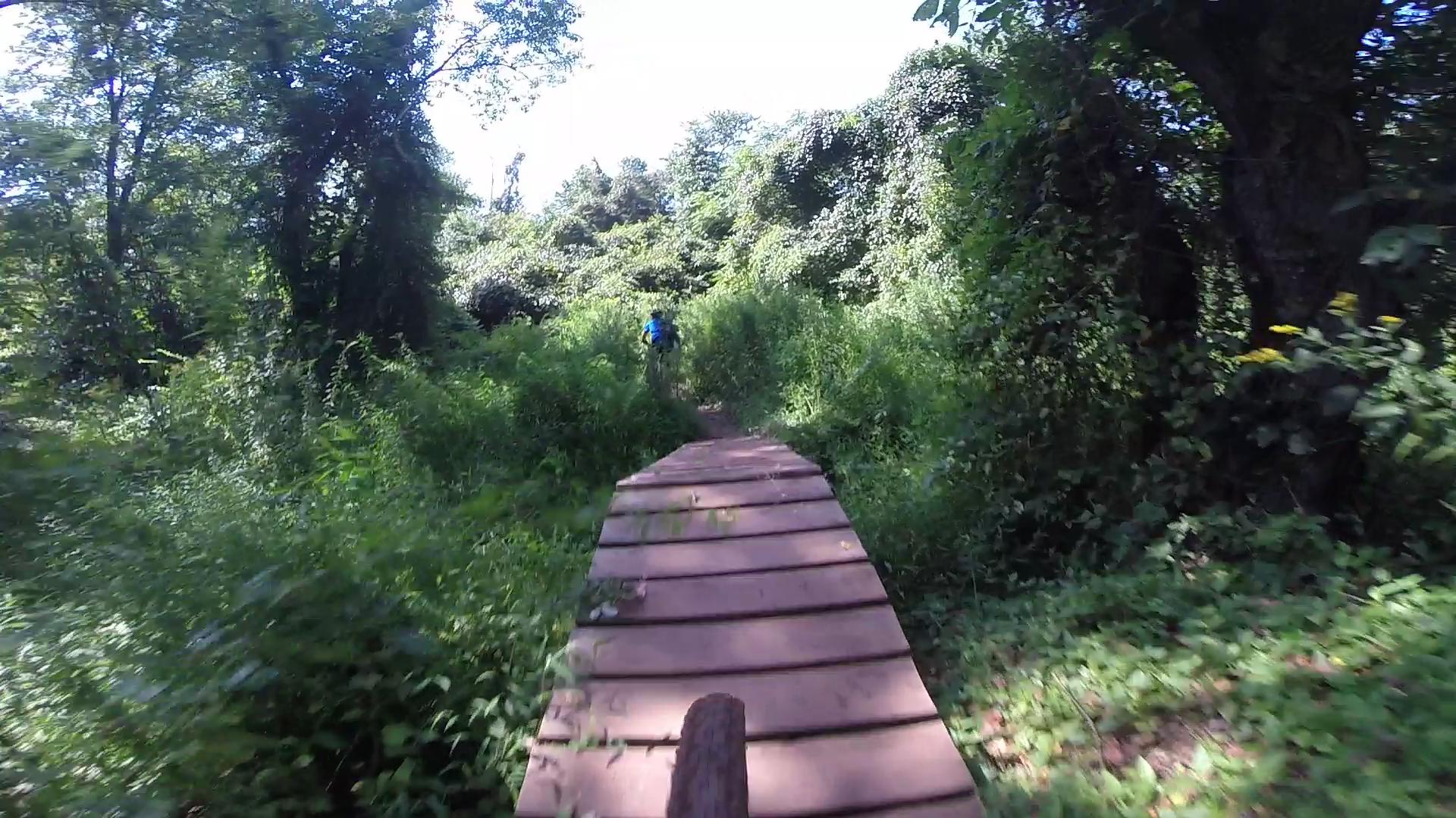 A narrow wooden bridge leads through a dense green forest, with lush vegetation on either side. In the distance, a person in a blue shirt is riding a bicycle along the path, surrounded by vibrant greenery and sunlight filtering through the trees. Six Mile Run mountain bike trail.