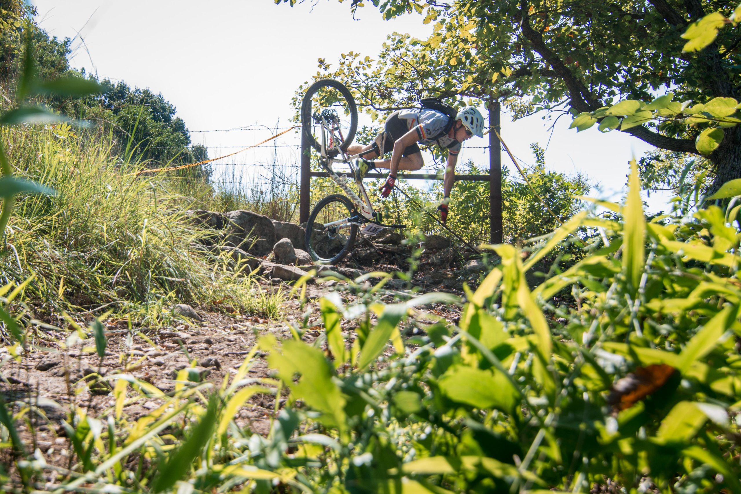 A mountain biker navigating a challenging trail while jumping over a fence, surrounded by greenery and rocks on a sunny day. Camp Horizon mountain bike trail.