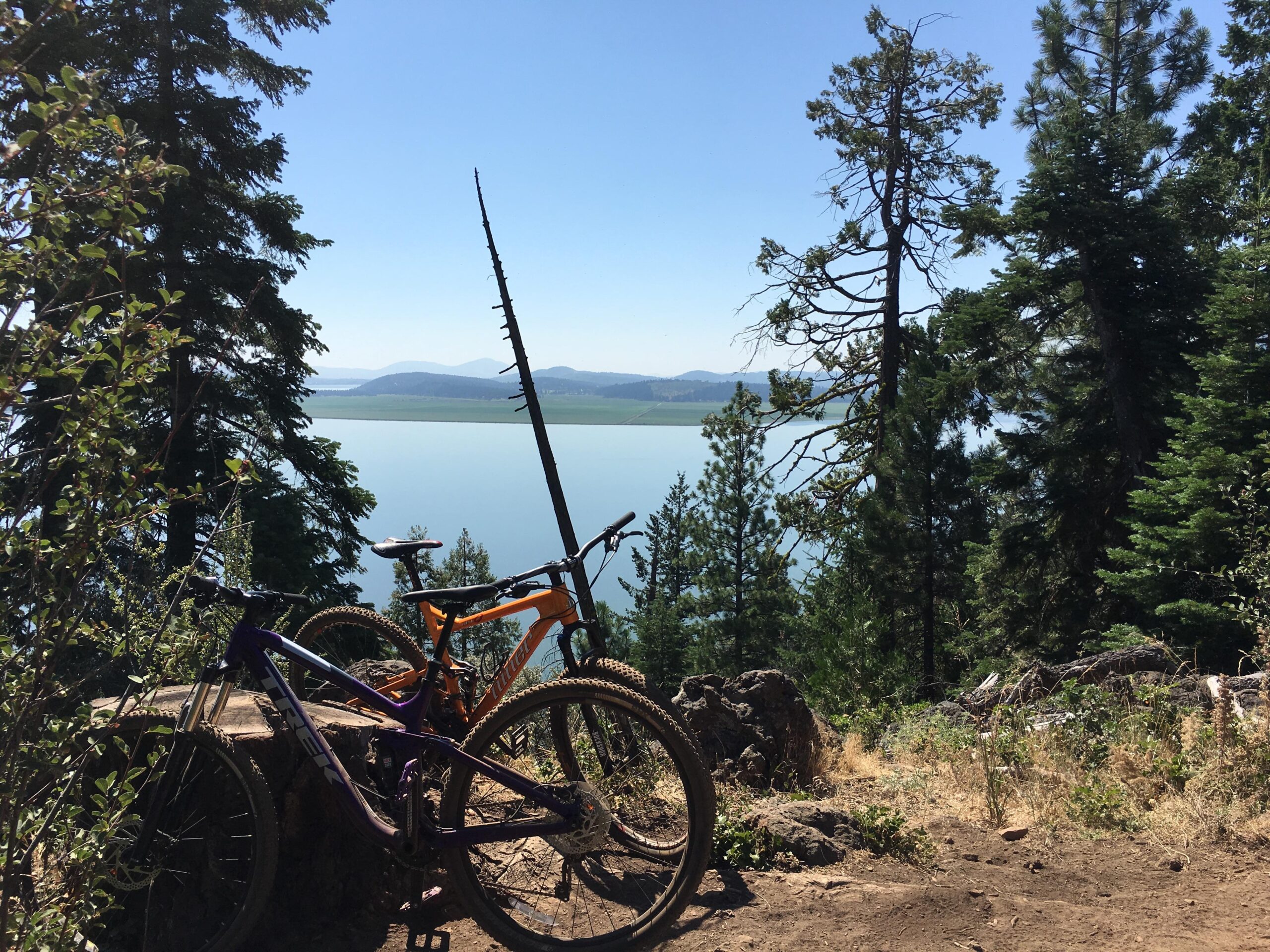 Niner Jet 9: Two mountain bikes rest on a rocky outcrop surrounded by tall pine trees, with a serene lake and rolling hills visible in the background under a clear blue sky.
