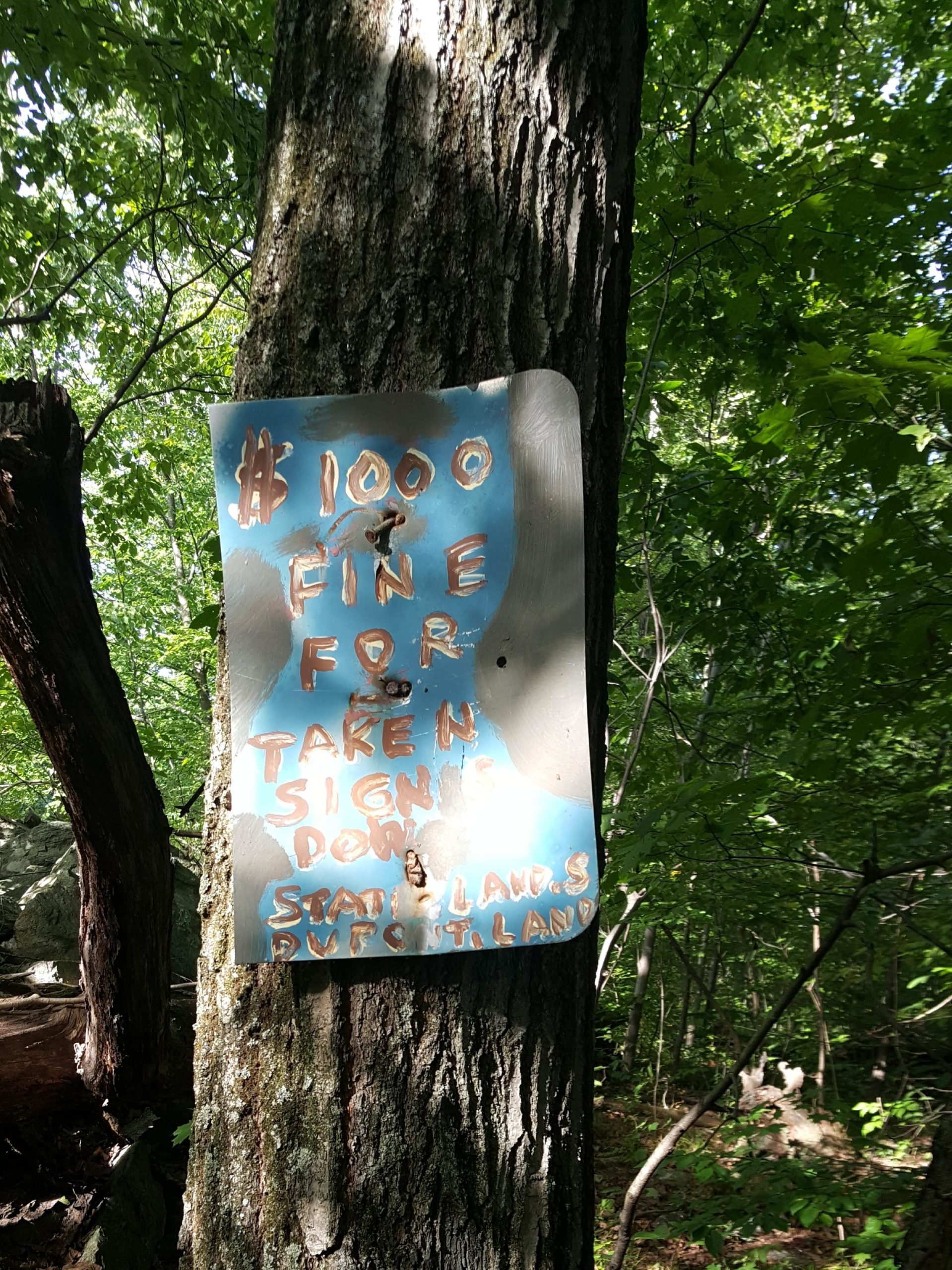 A warning sign nailed to a tree in a wooded area, indicating a $1,000 fine for taking the sign down. The sign has a blue background with handwritten text stating the fine and instructions regarding the sign's removal, along with a note about state lands. Surrounding foliage includes green leaves and tree trunks, creating a natural setting. Ramapo Mountain State Forest mountain bike trail.