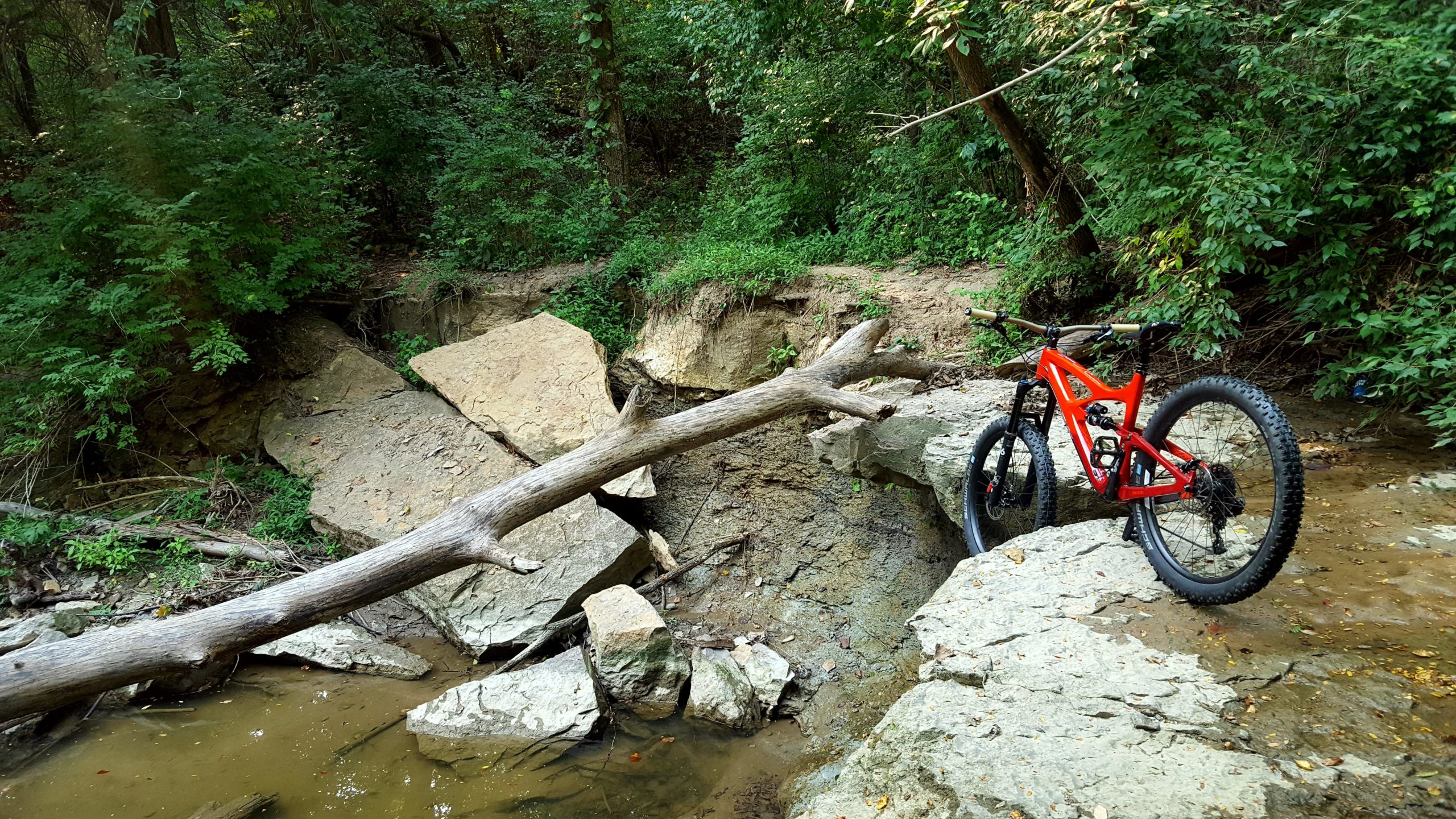 A vibrant red mountain bike resting on rocky terrain next to a shallow stream, surrounded by lush green foliage and trees. A large log crosses the stream, adding to the natural setting. Dirksen Park mountain bike trail.