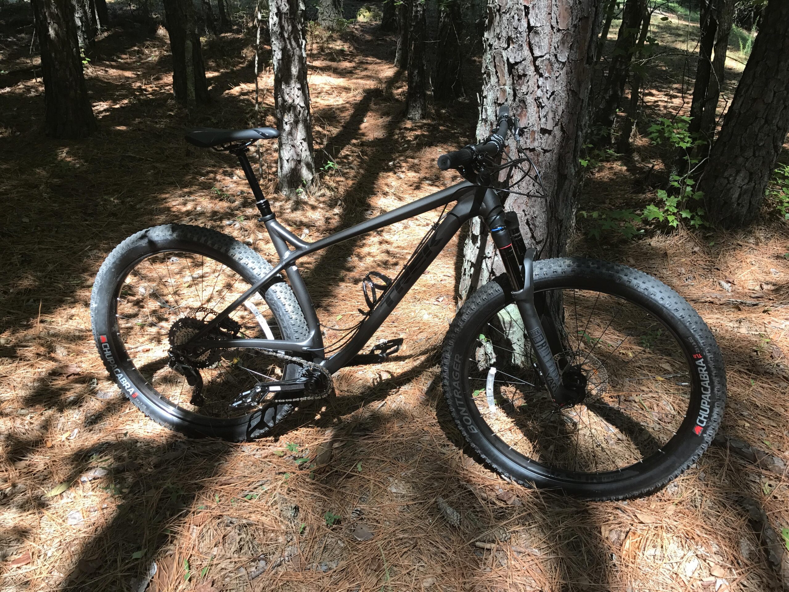 Trek Stache: A black mountain bike resting on the forest floor, surrounded by pine needles and tall trees, with dappled sunlight filtering through the foliage. The bike features wide tires and a sleek frame, emphasizing its off-road capabilities.