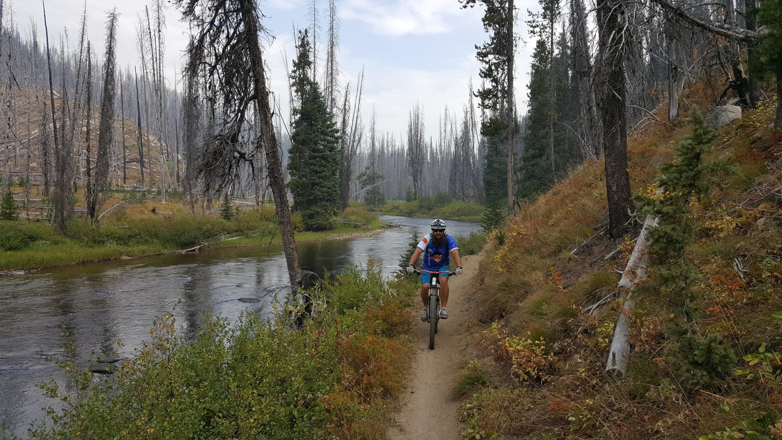 A mountain biker rides along a dirt path next to a river, surrounded by trees, some of which are charred or dead, suggesting a recent wildfire. The landscape features a mix of green foliage and autumn-colored vegetation, with a backdrop of distant, burned trees under a cloudy sky. Loon Lake Trail mountain bike trail.