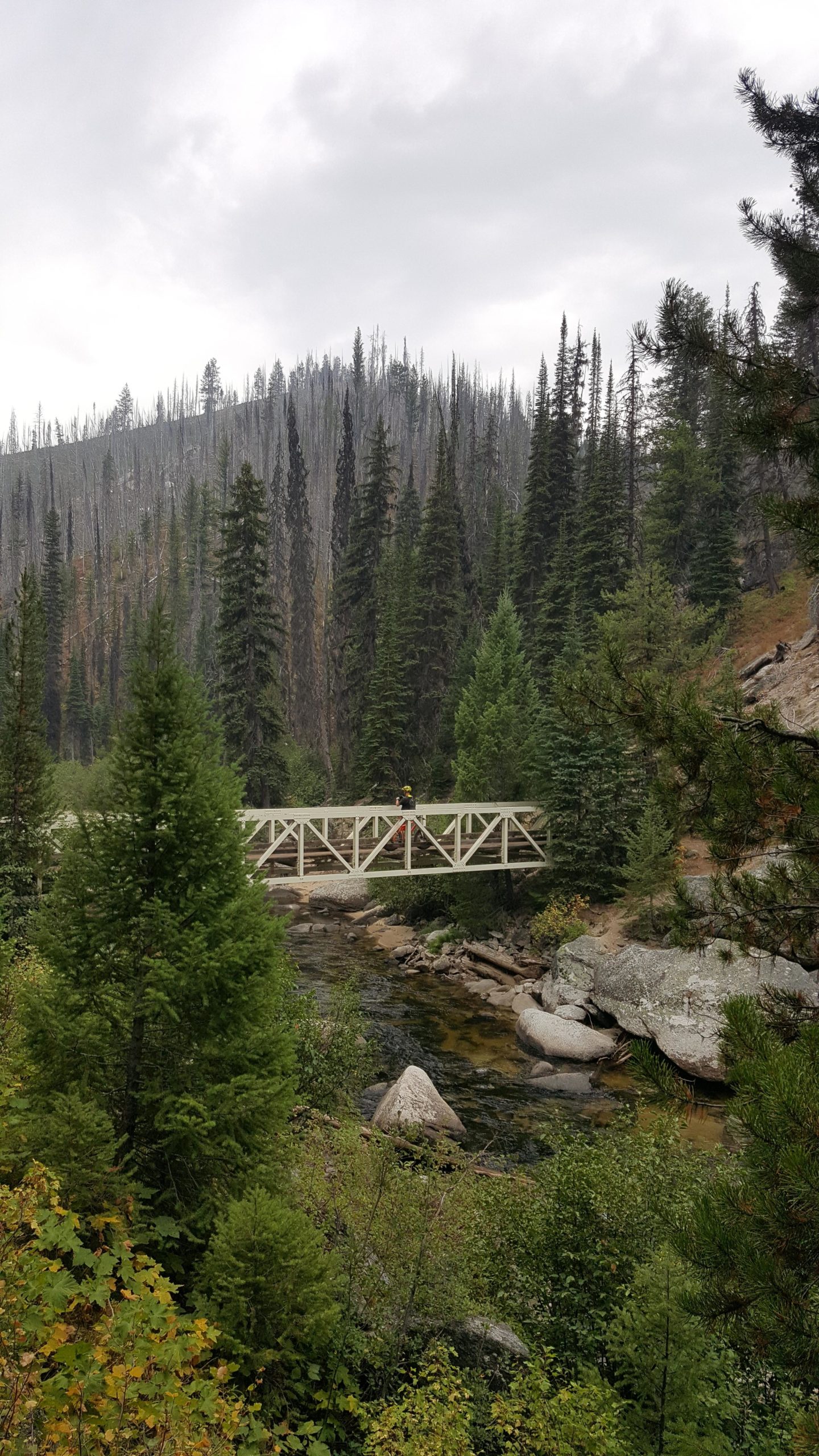 A wooden bridge spans a clear stream surrounded by lush green trees and rocky banks. In the background, a mountainous landscape rises under a cloudy sky, with some trees showing signs of previous fire damage. A solitary figure can be seen on the bridge, adding a human element to the serene natural scene. Loon Lake Trail mountain bike trail.