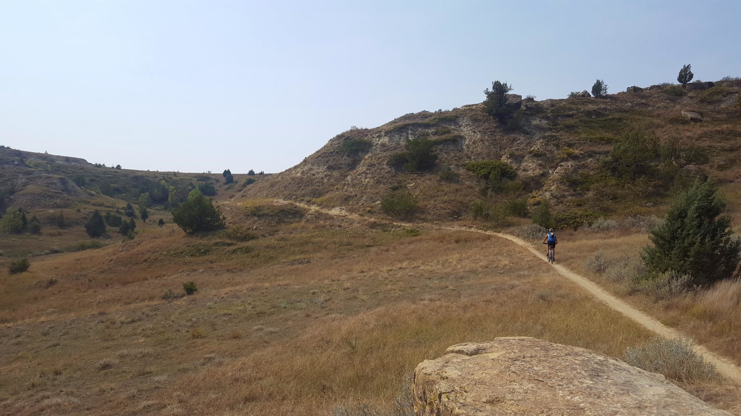A person biking on a winding dirt trail through a grassy landscape with rolling hills and sparse trees under a clear sky. Buffalo Gap Trail mountain bike trail.