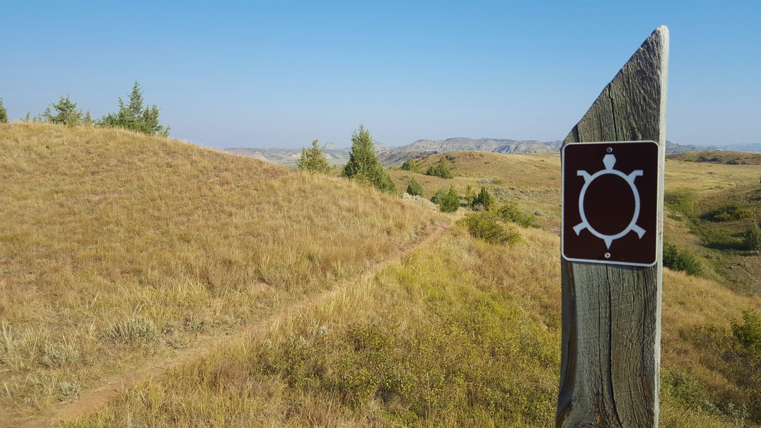 A marker with a turtle symbol stands on a wooden post along a grassy trail, surrounded by gentle hills and sparse trees under a clear blue sky. Maah Daah Hey mountain bike trail.