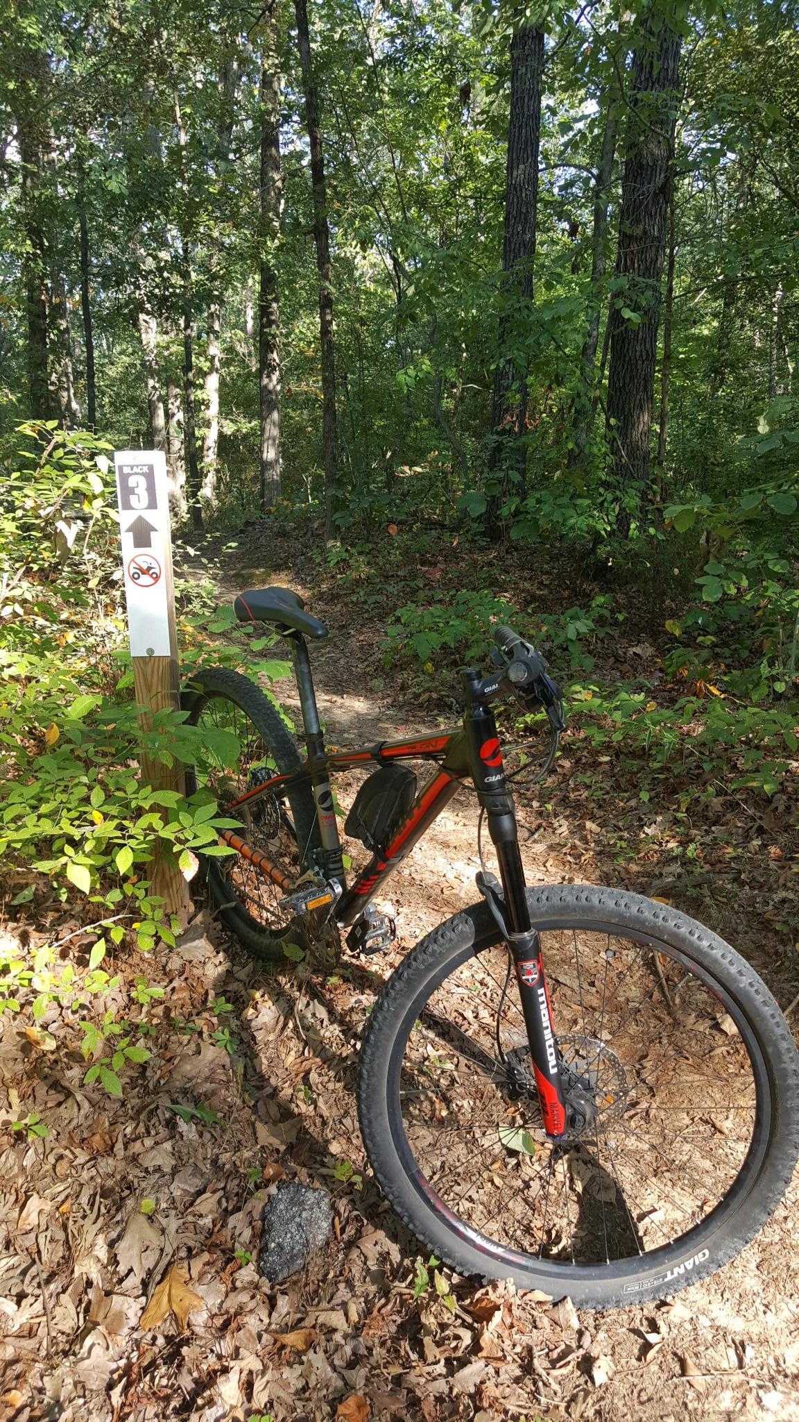 A mountain bike leaning against a trail sign in a wooded area. The sign indicates a black trail, labeled "Black 3," and features a no-pets symbol. Surrounding vegetation includes green leaves and fallen leaves scattered on the ground, with tall trees in the background. Craighead Forest Park mountain bike trail.