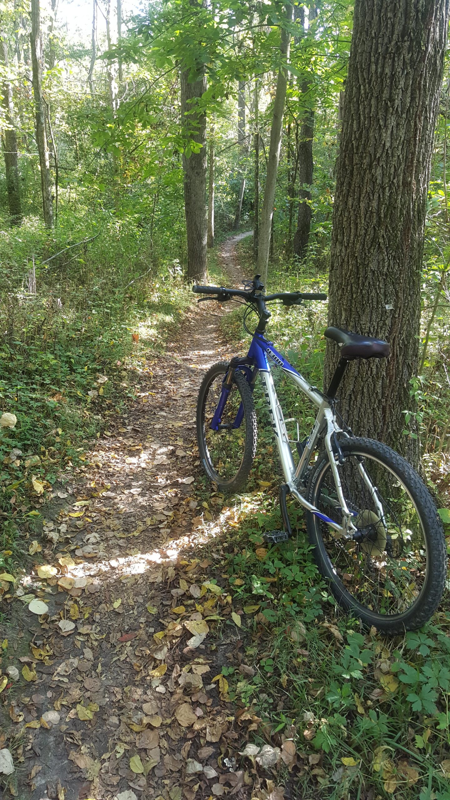 A mountain bike rests beside a dirt path winding through a forest. The trail is lined with fallen leaves and bordered by trees, creating a serene natural setting. Sunlight filters through the foliage, illuminating the bike and the path ahead. Winona Lake Trail mountain bike trail.