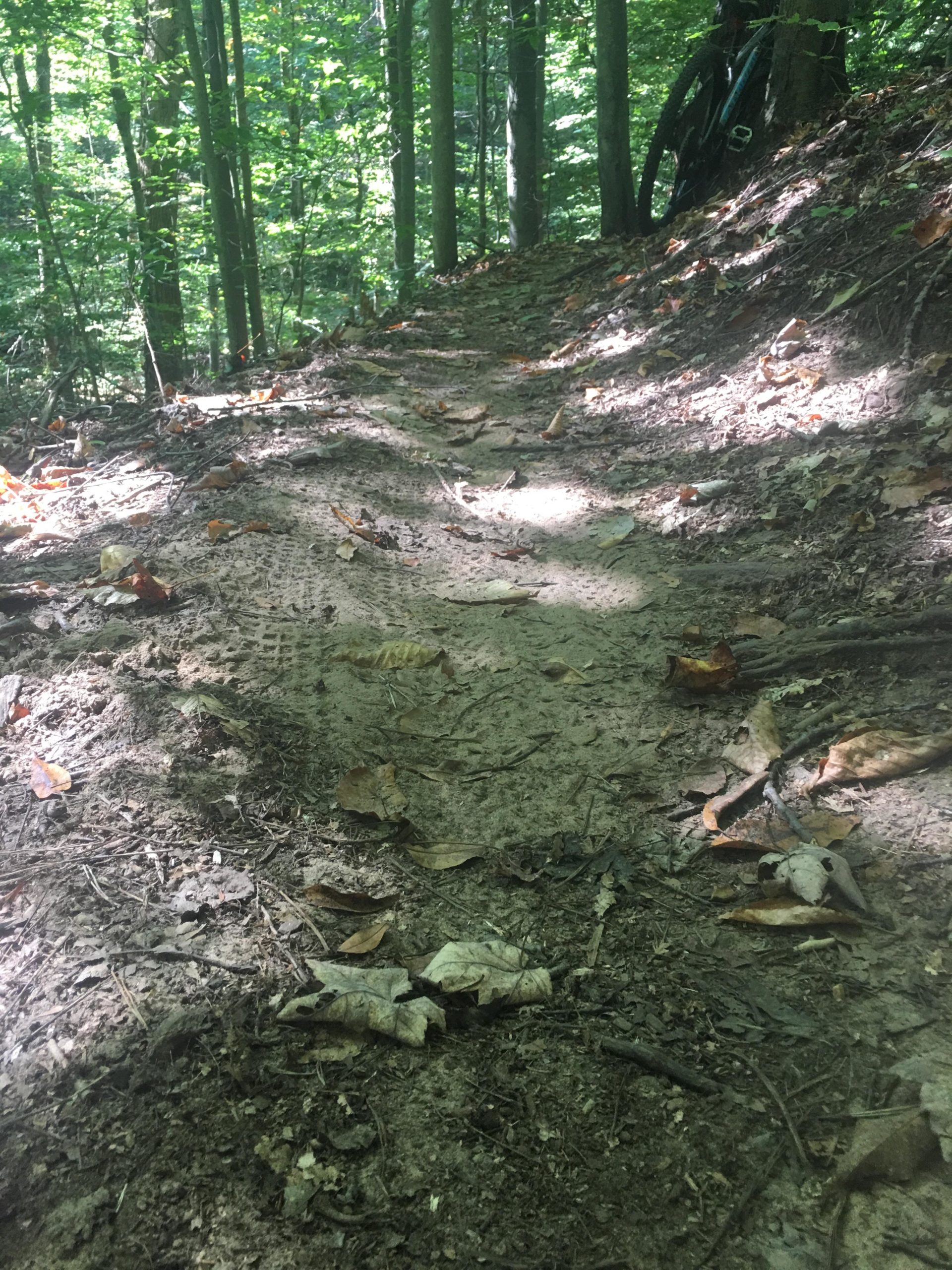 A narrow dirt trail winding through a forest, surrounded by trees and scattered autumn leaves. The sunlight filters through the canopy, casting shadows on the path. A bicycle is partially visible leaning against a tree in the background. Great Bear mountain bike trail.